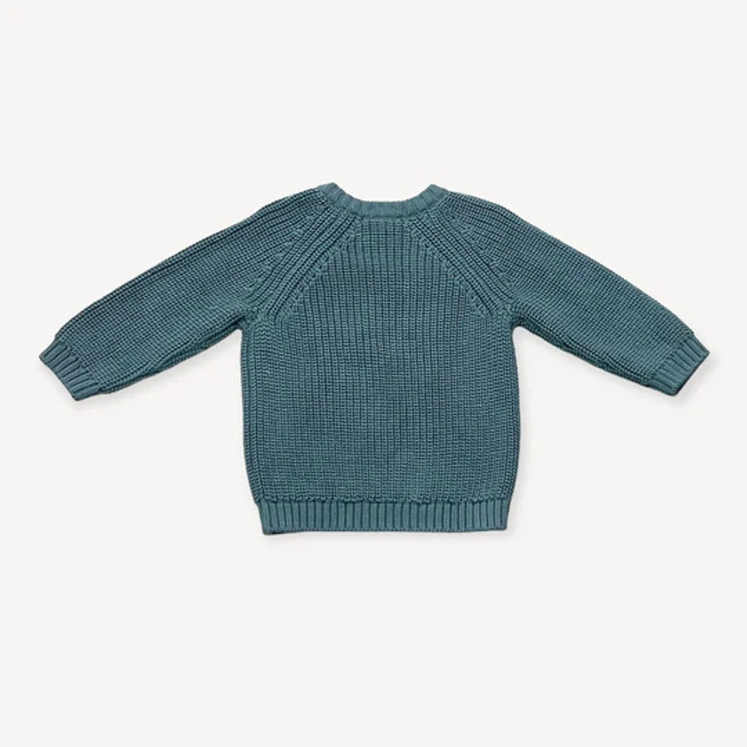 Lion Applique Baby Pullover Sweater - Image 3