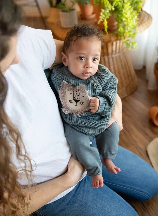 Lion Applique Baby Pullover Sweater - Image 6