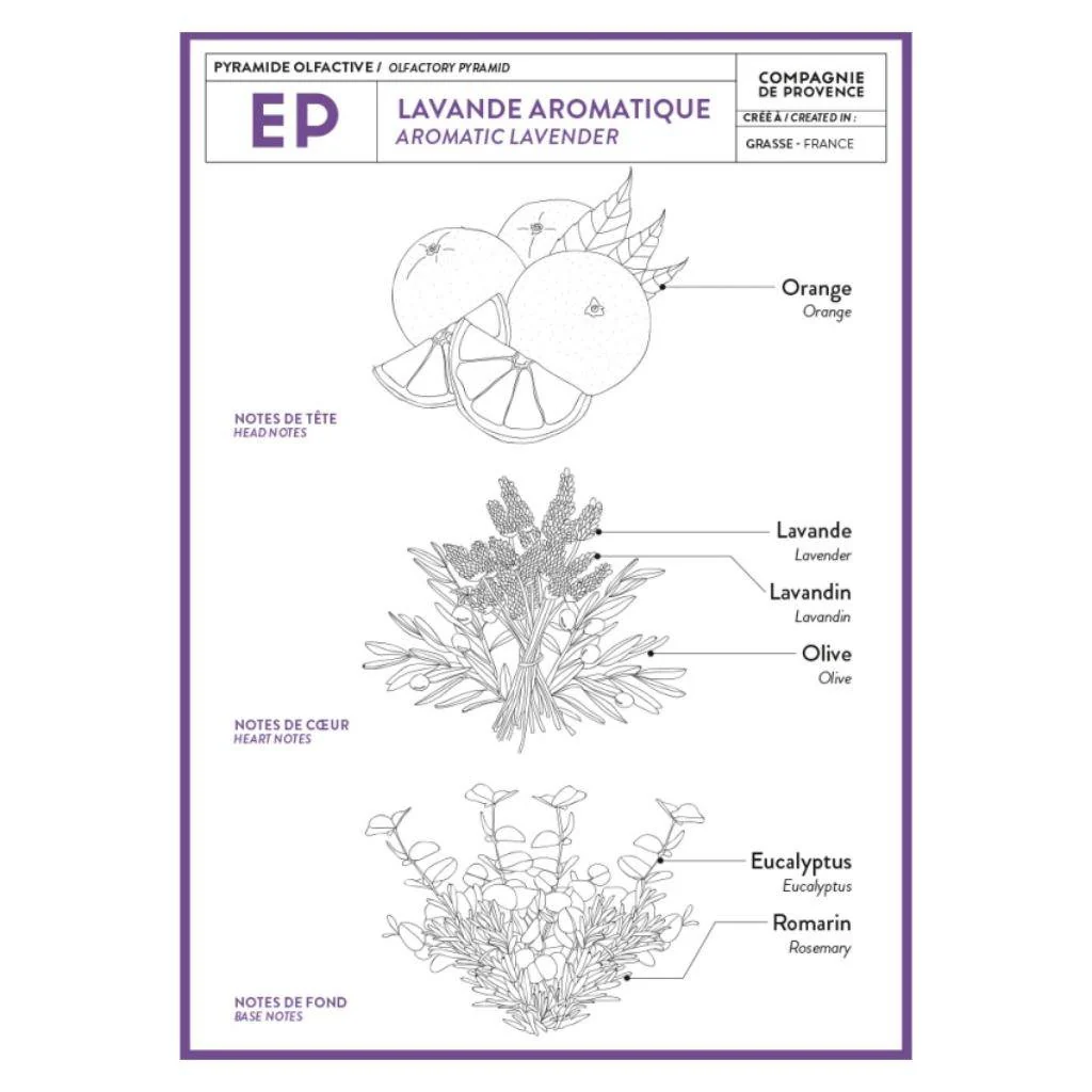 Liquid Marseille Soap: Aromatic Lavender - Image 4