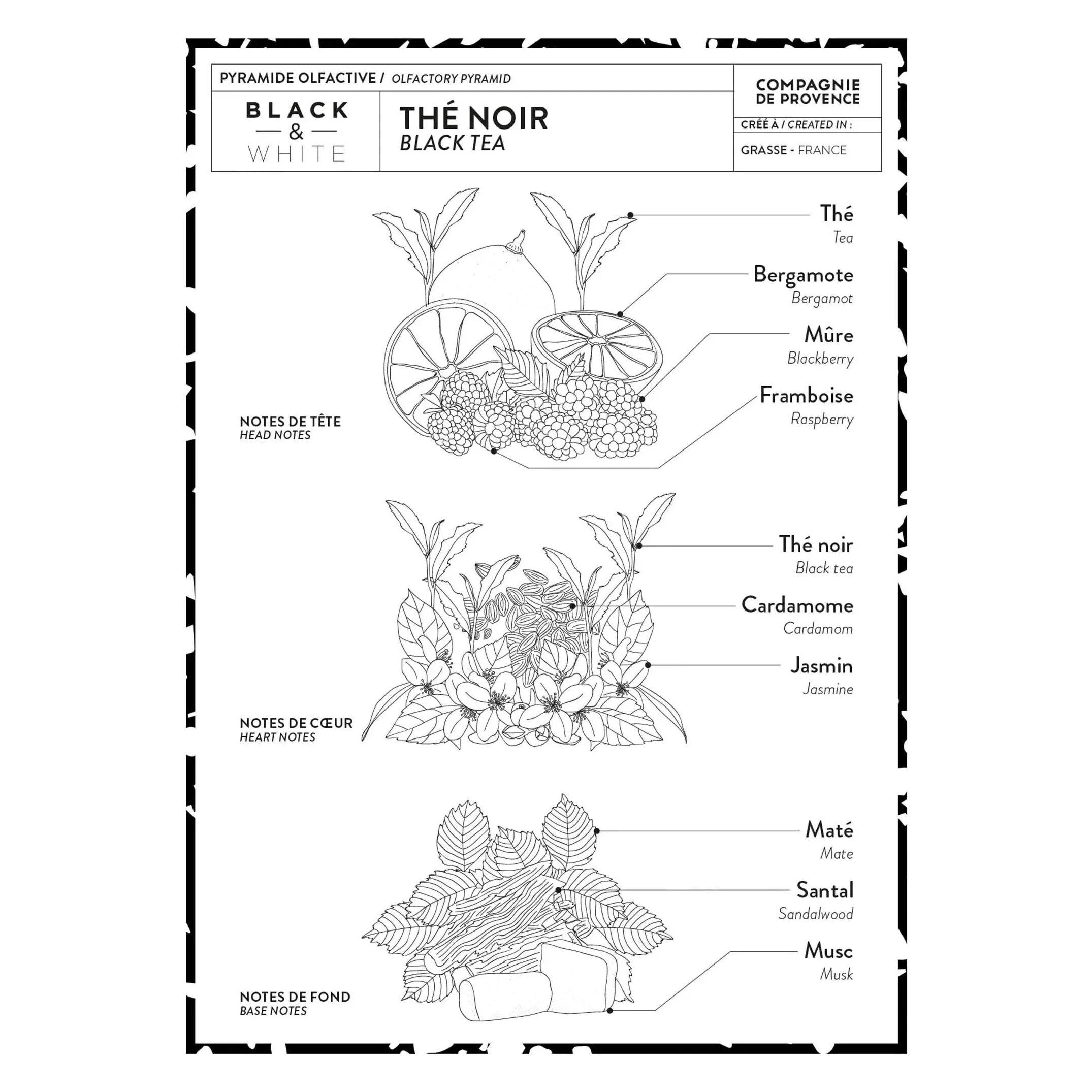 Liquid Marseille Soap: Black Tea - Image 4