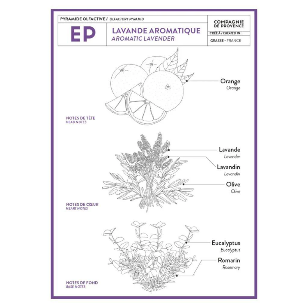 Liquid Marseille Soap Refill: Aromatic Lavender - Image 3