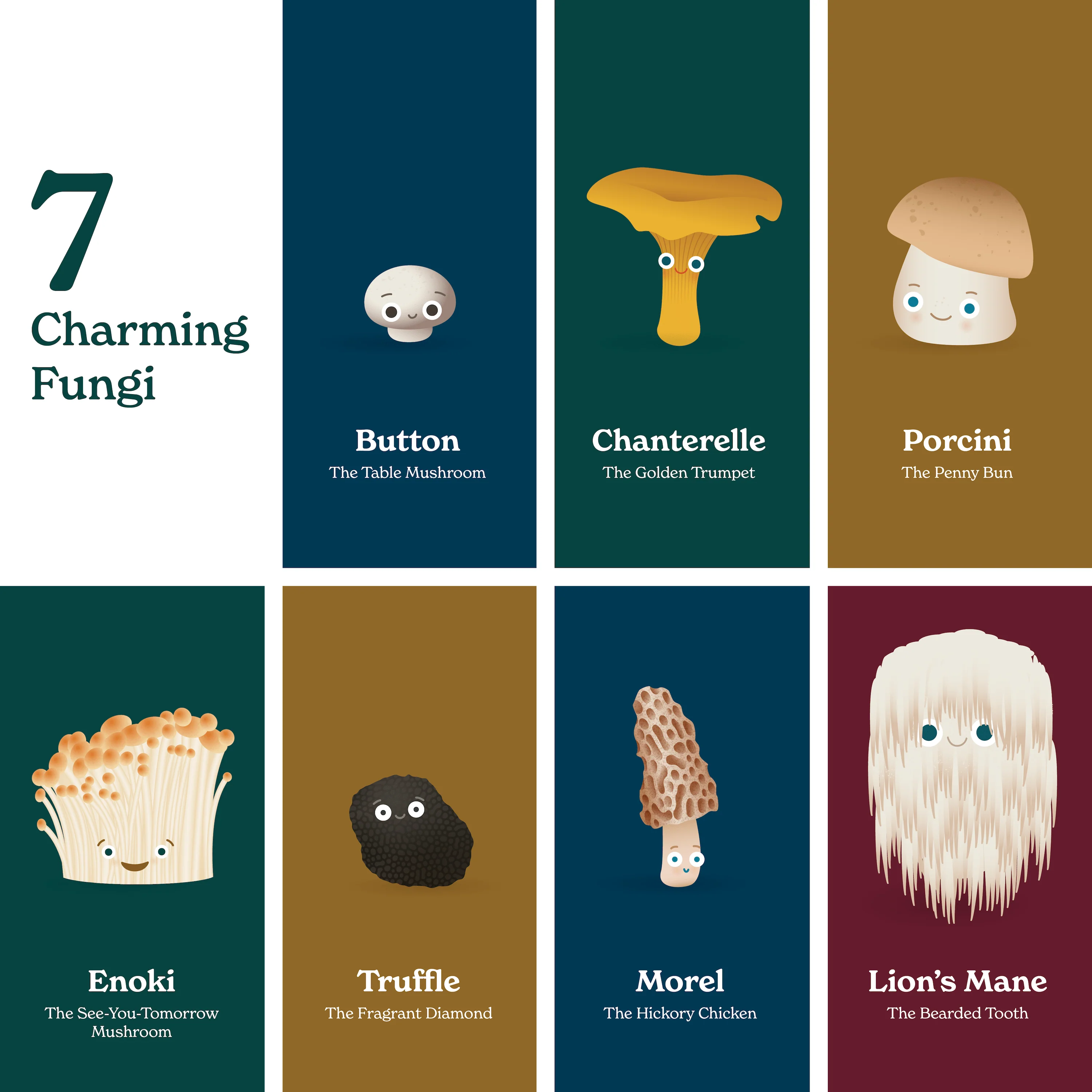 Little Book of Fungi - Image 3