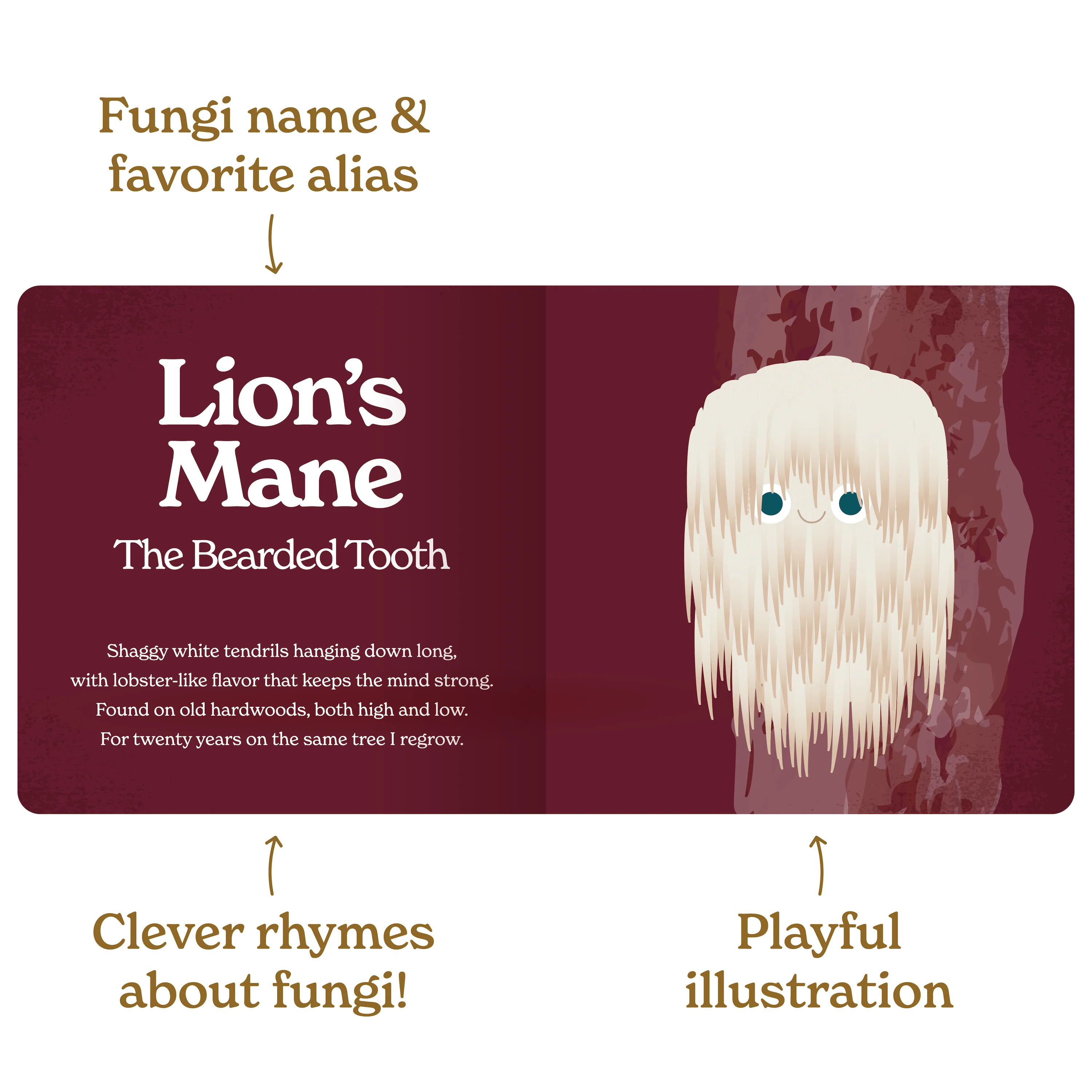 Little Book of Fungi - Image 4