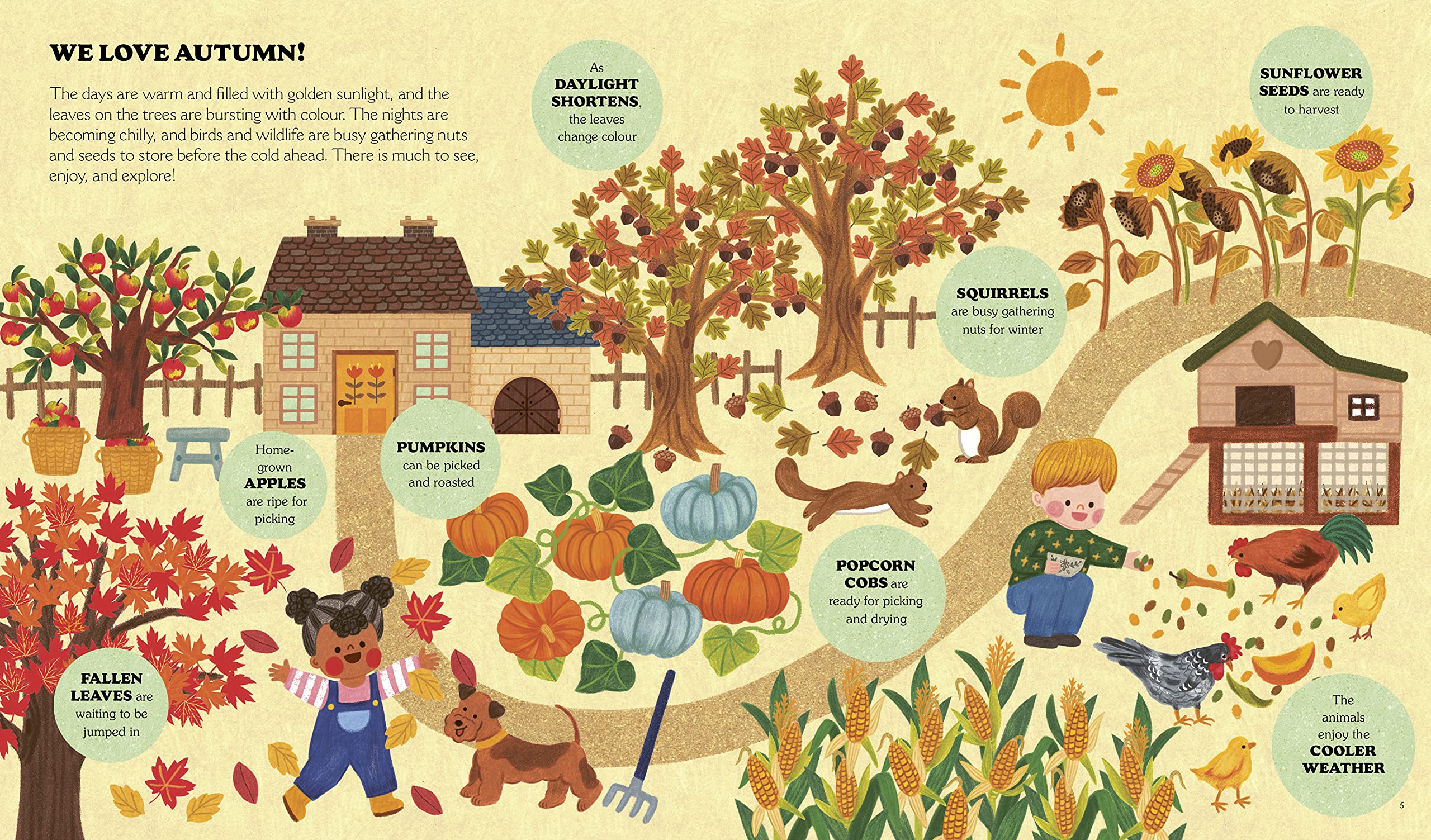 Little Homesteader: A Fall Treasury of Recipes, Crafts, and Wisdom - Image 4