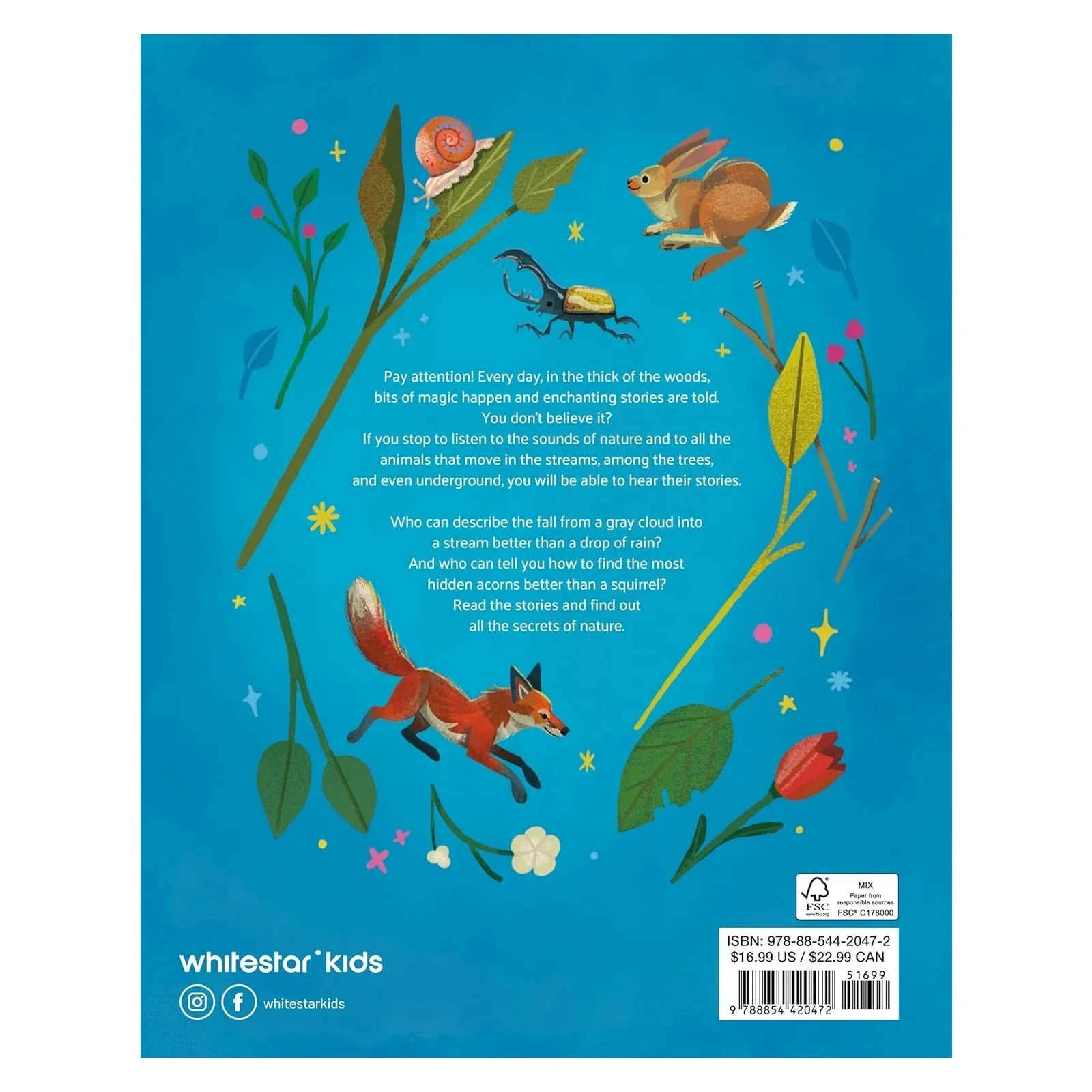 Little Stories from Nature - Image 10