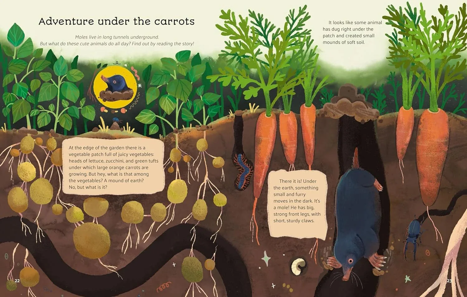 Little Stories from Nature - Image 2