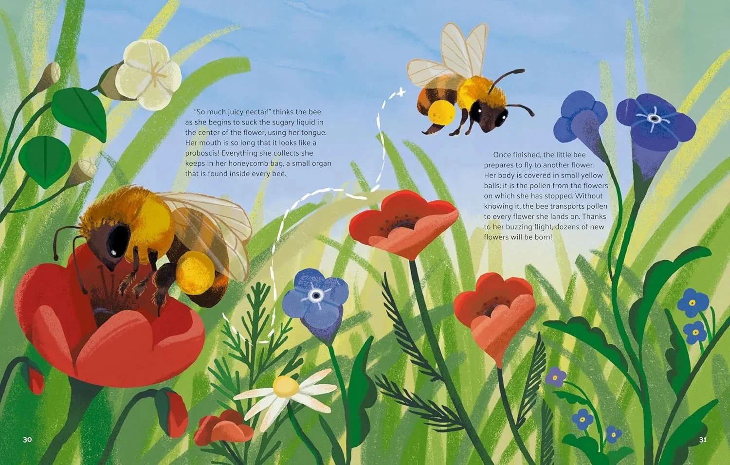 Little Stories from Nature - Image 5