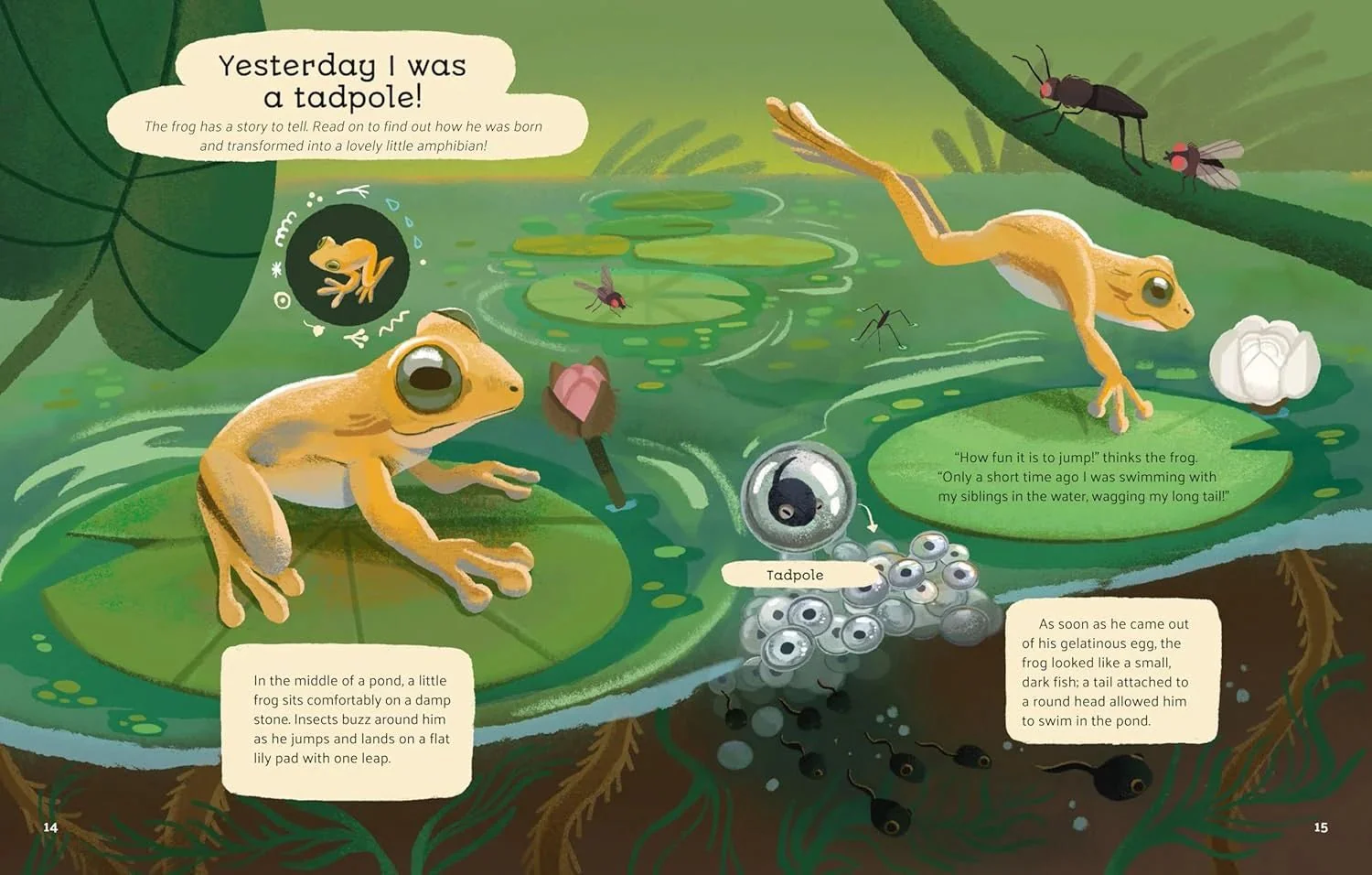 Little Stories from Nature - Image 6