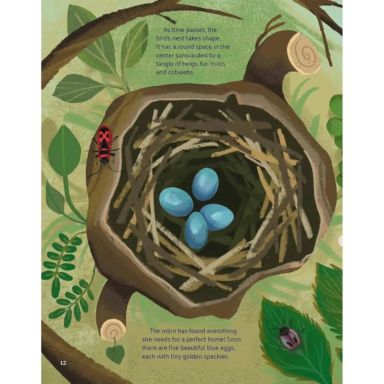 Little Stories from Nature - Image 7