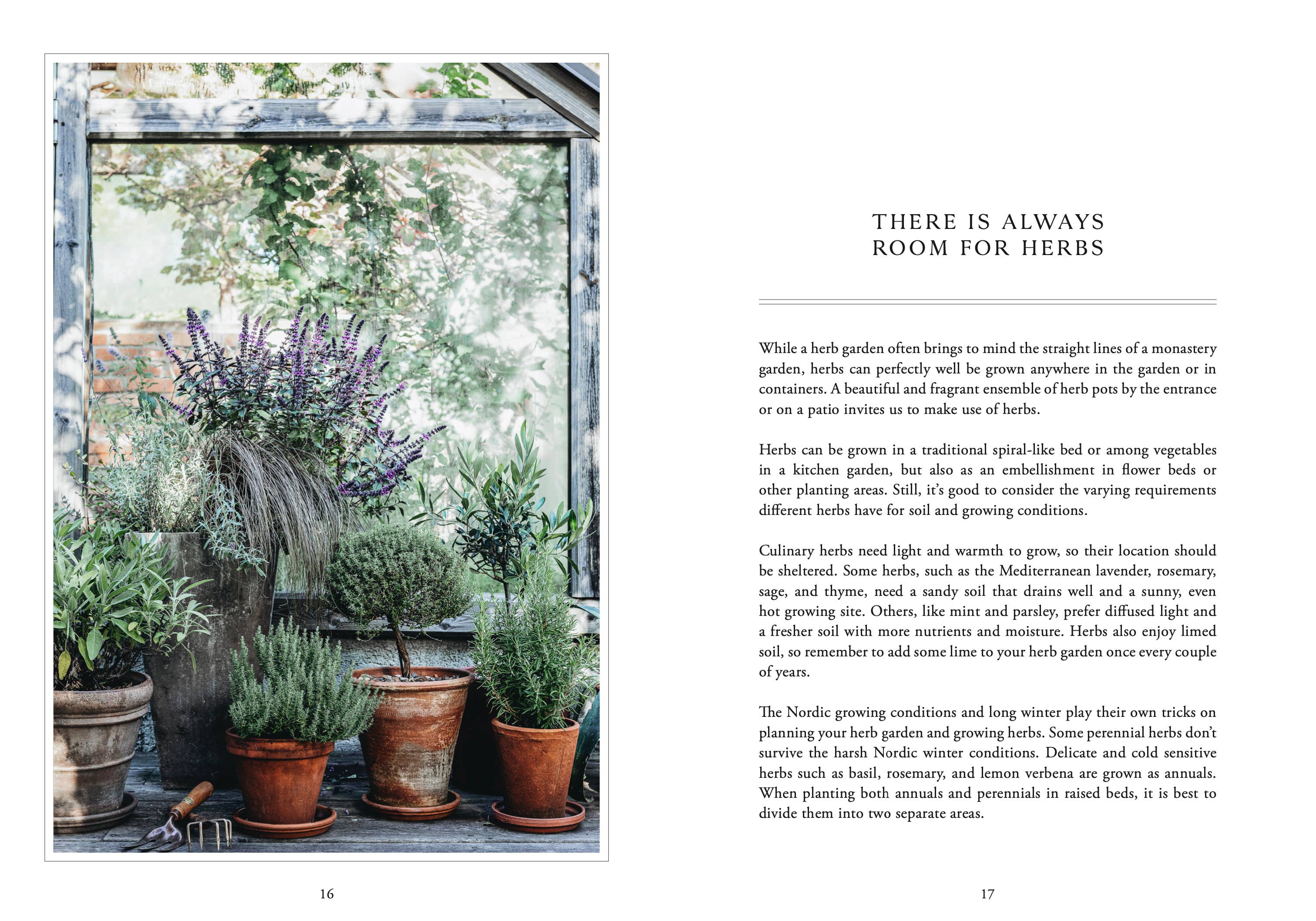 Living with Herbs - Image 2
