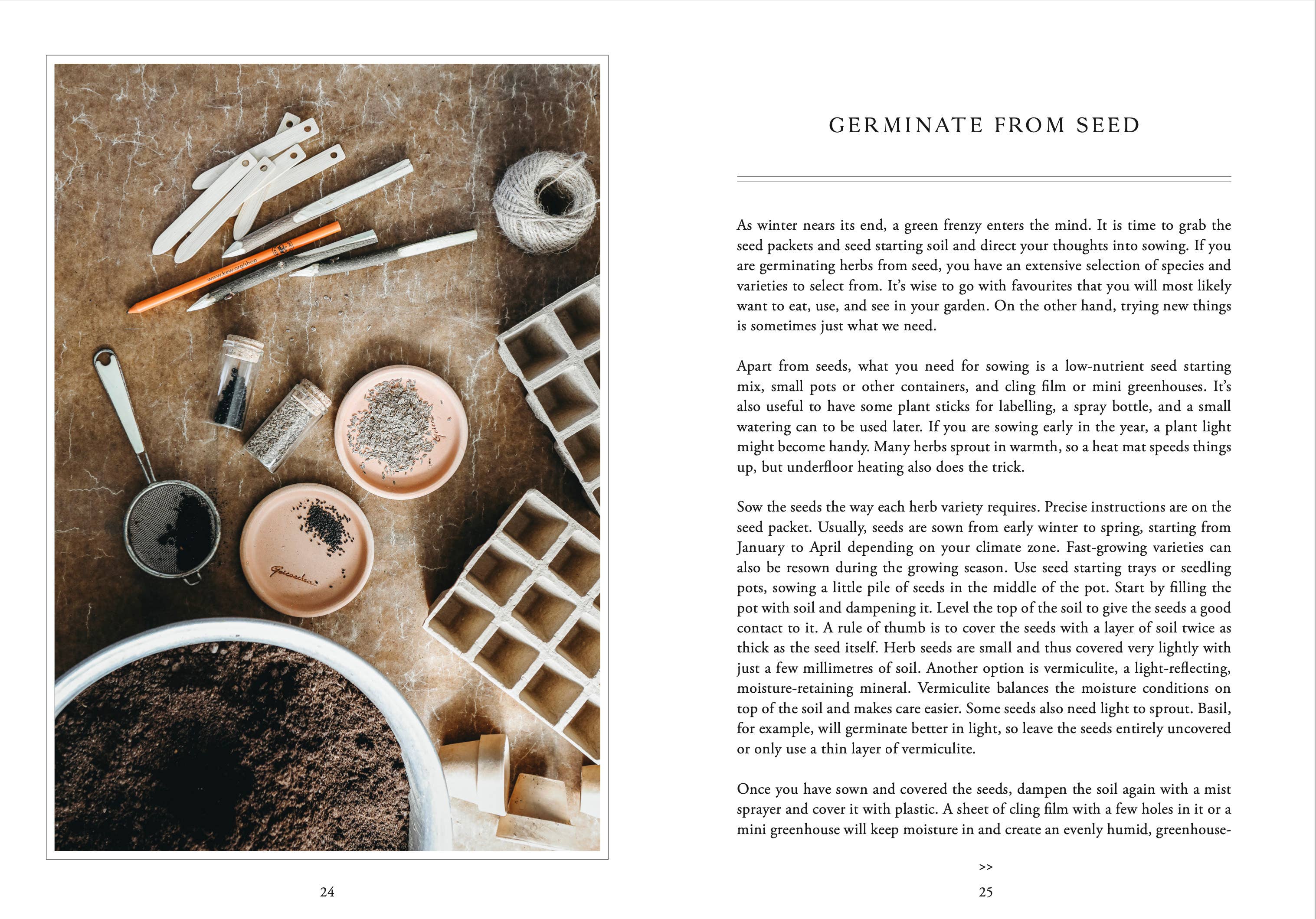 Living with Herbs - Image 4