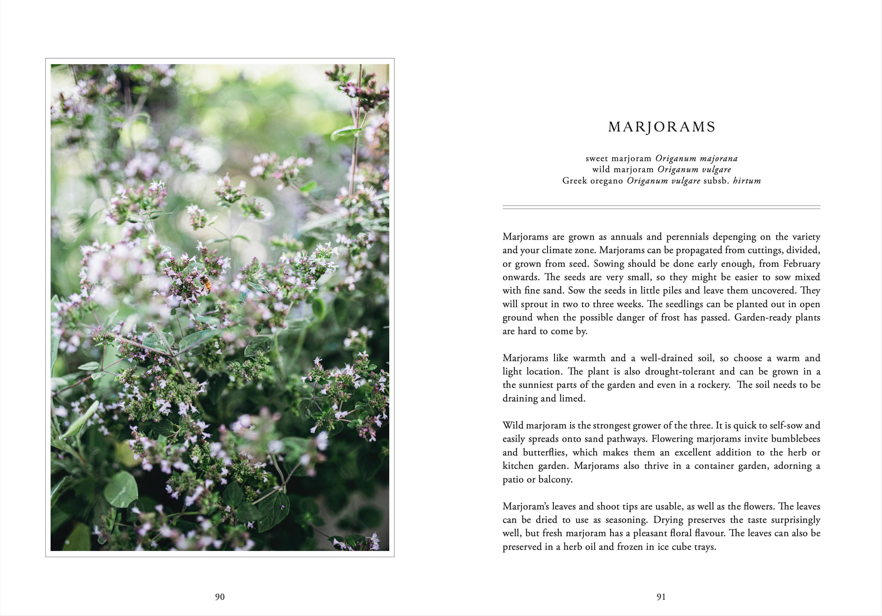 Living with Herbs - Image 5