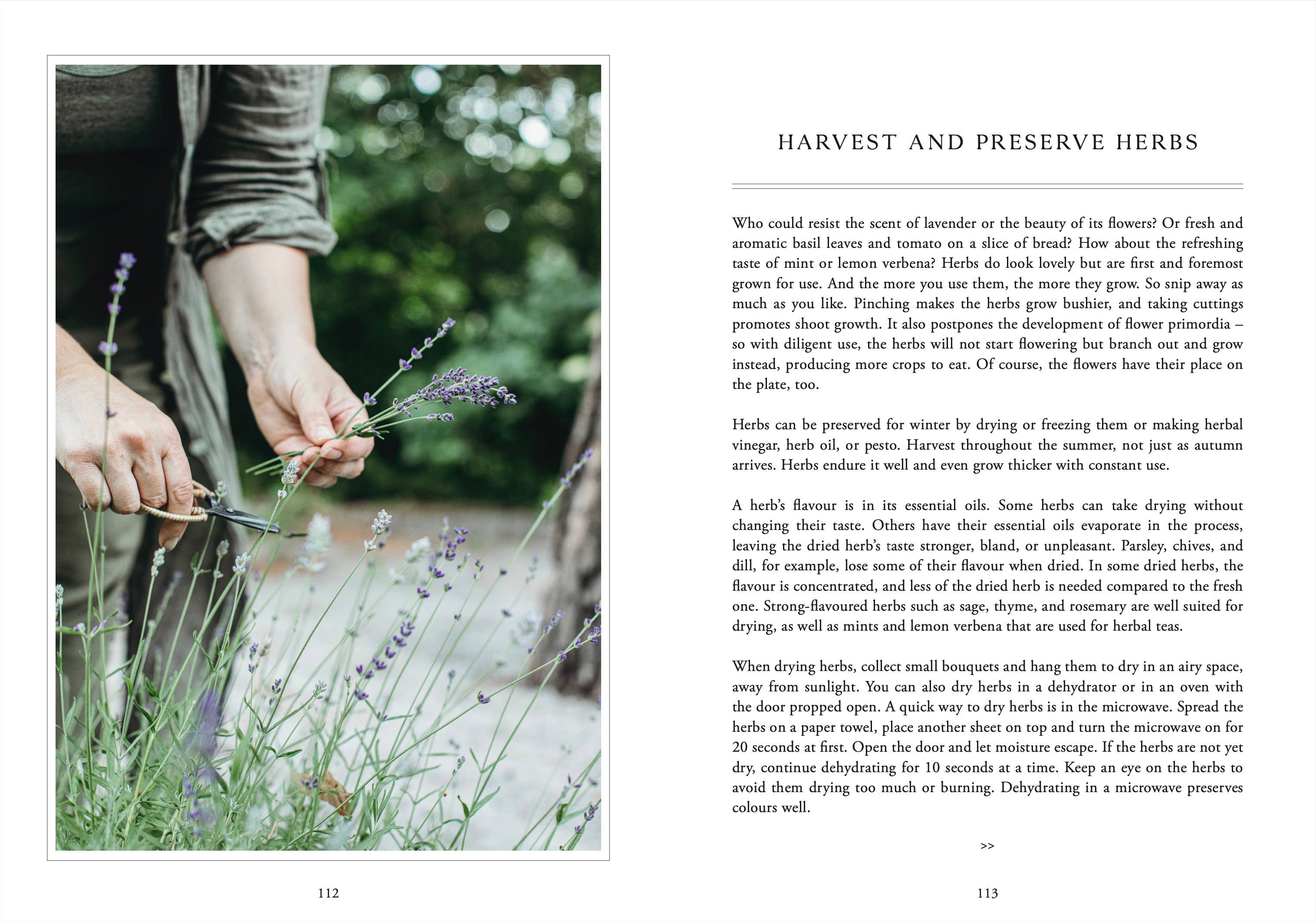 Living with Herbs - Image 7