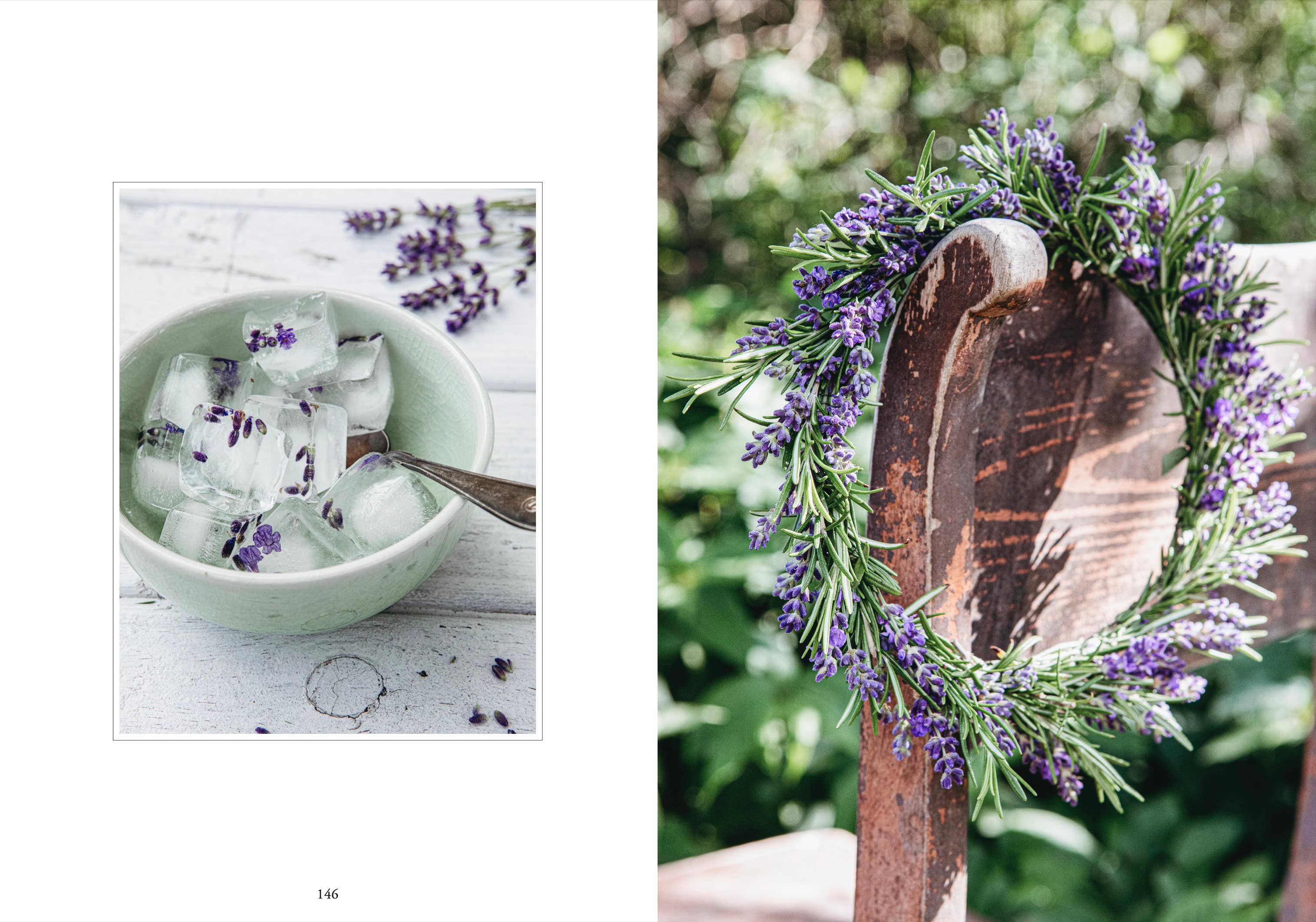 Living with Herbs - Image 8
