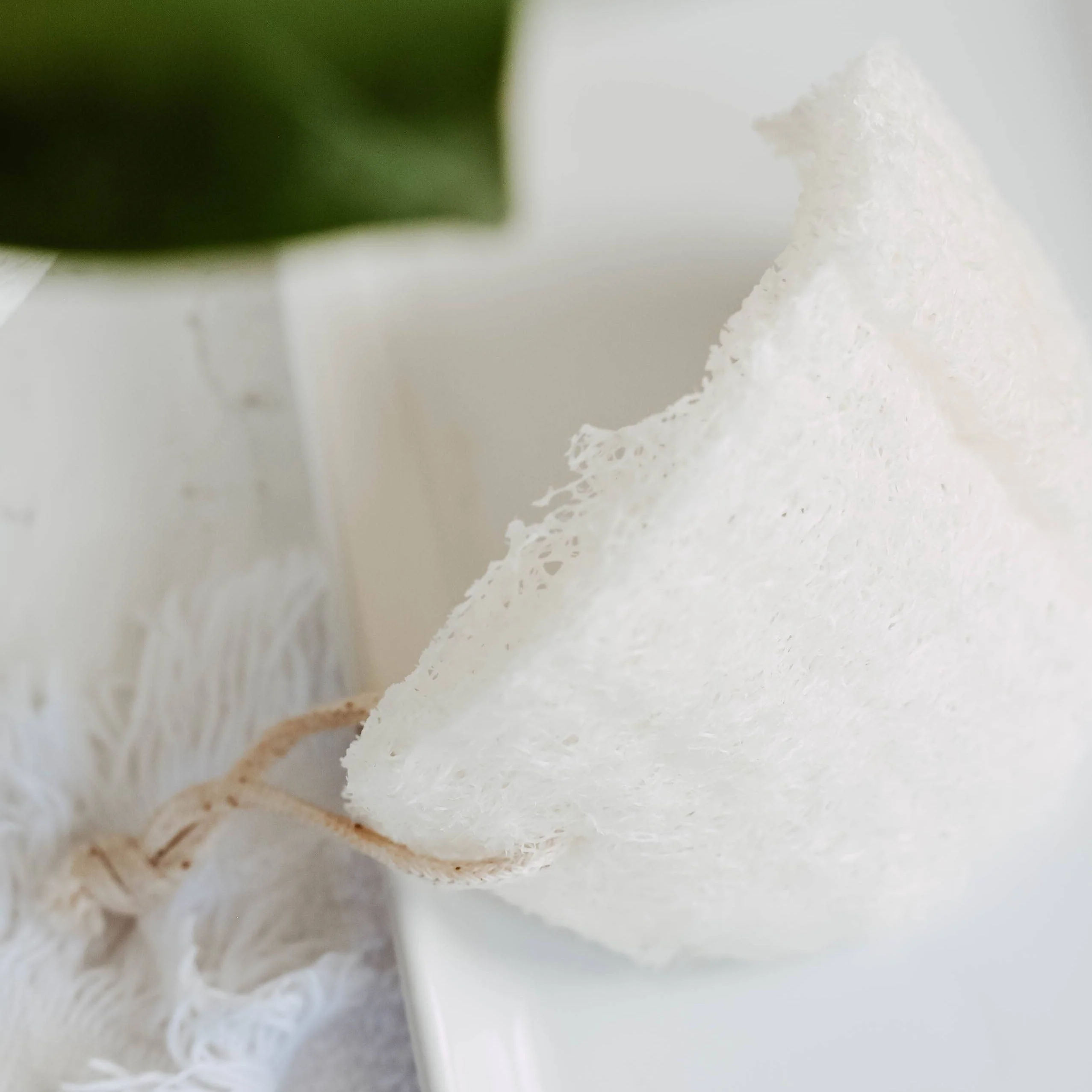 Single Layer Loofah Sponge - 2-pack - Image 3