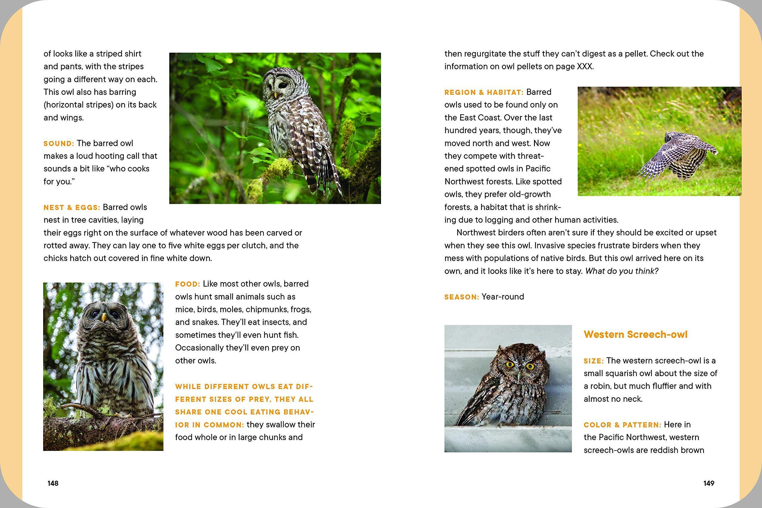 Look at That Bird! - Image 3