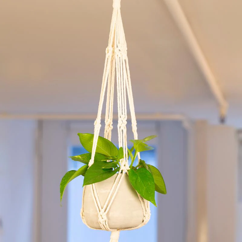 Macrame & Cement Hanging Planter - Image 3