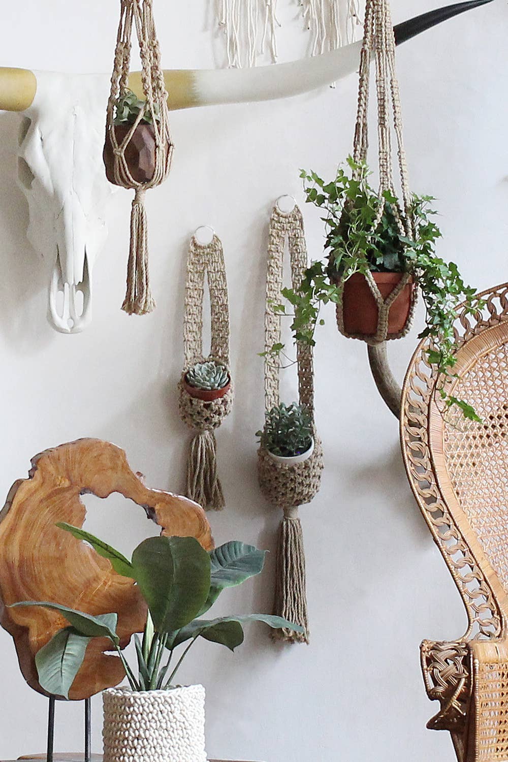 Macrame Plant Wall Hanging - Image 3