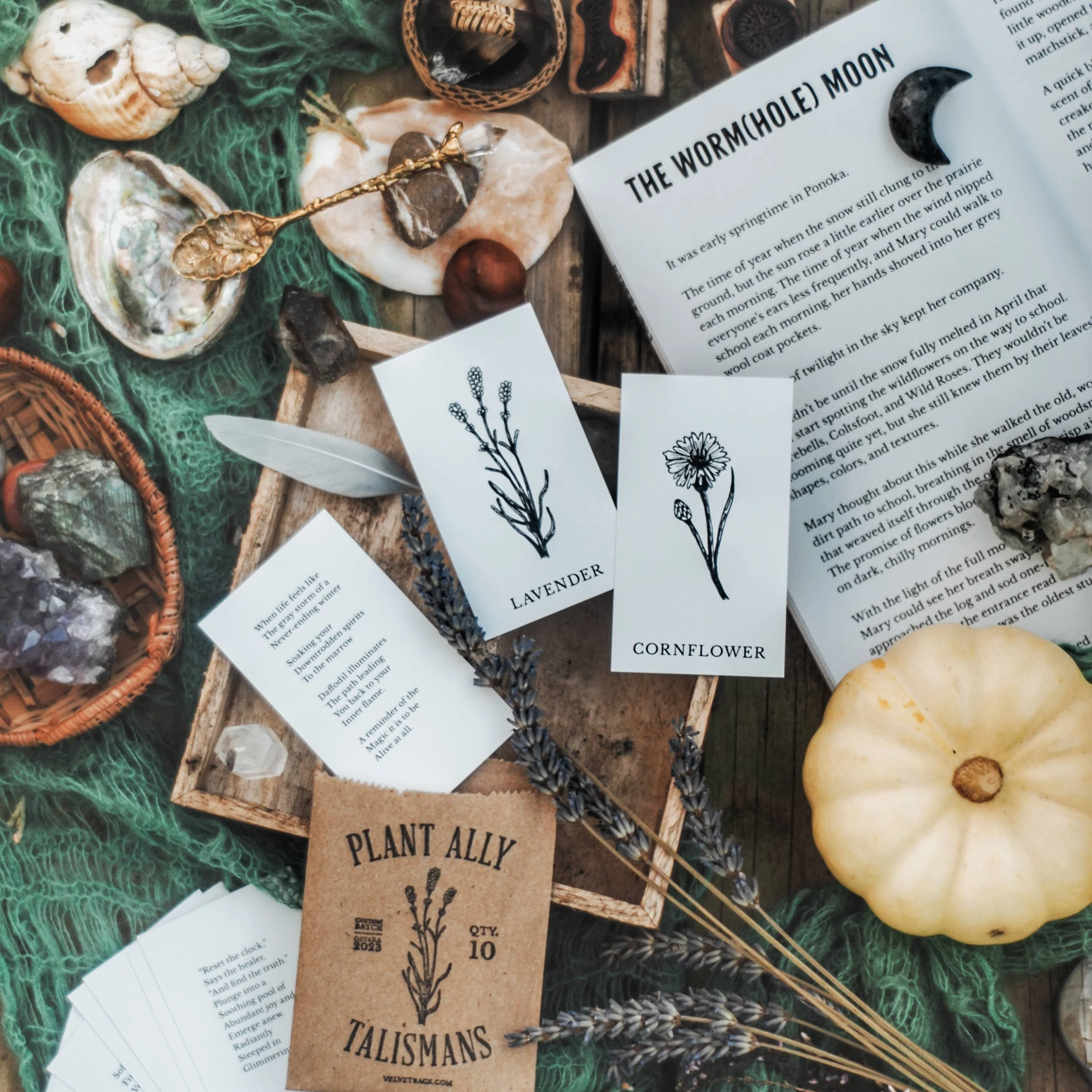 Magic Flowers Book & Bookmark - Image 4