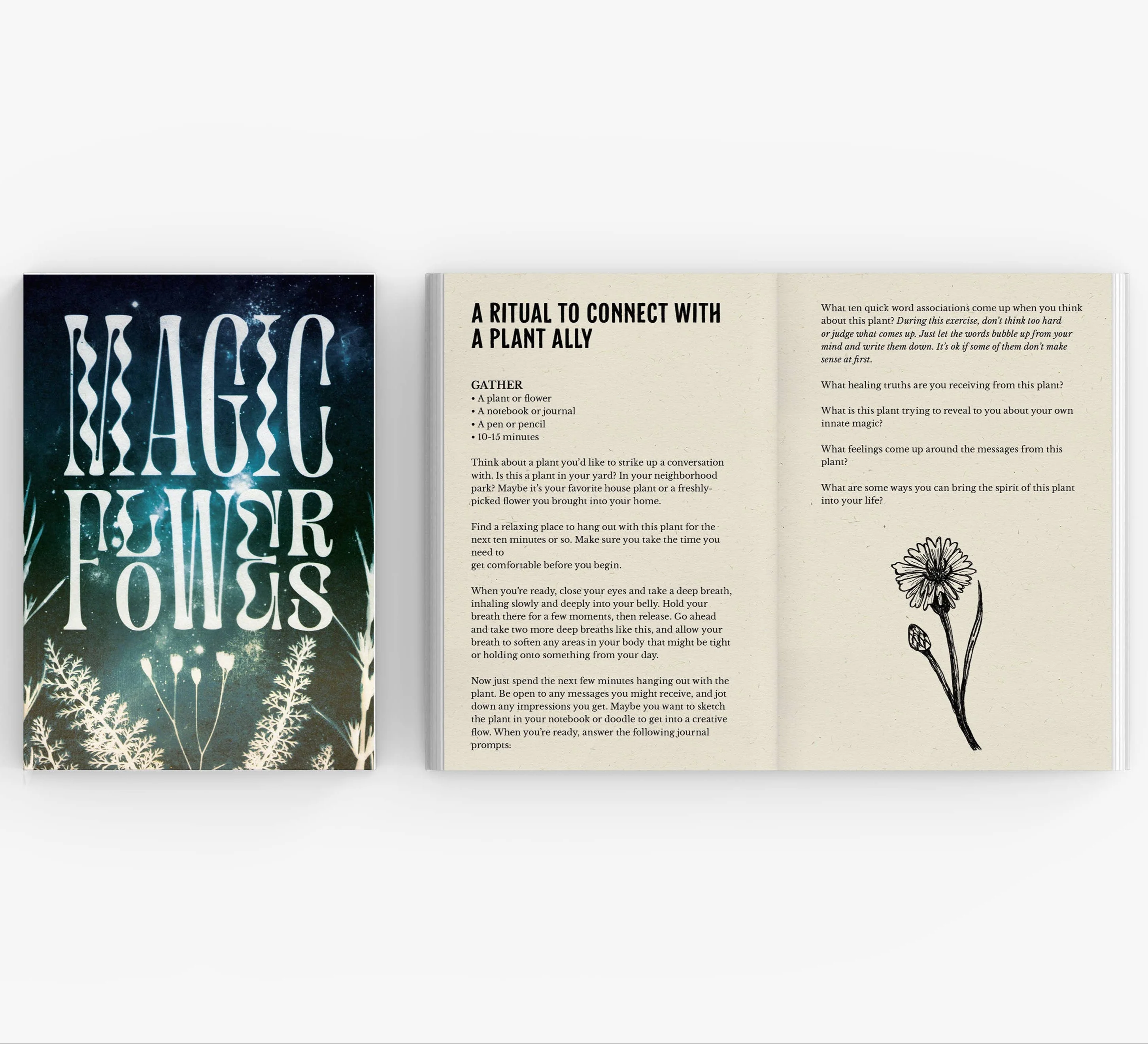 Magic Flowers Book & Bookmark - Image 5