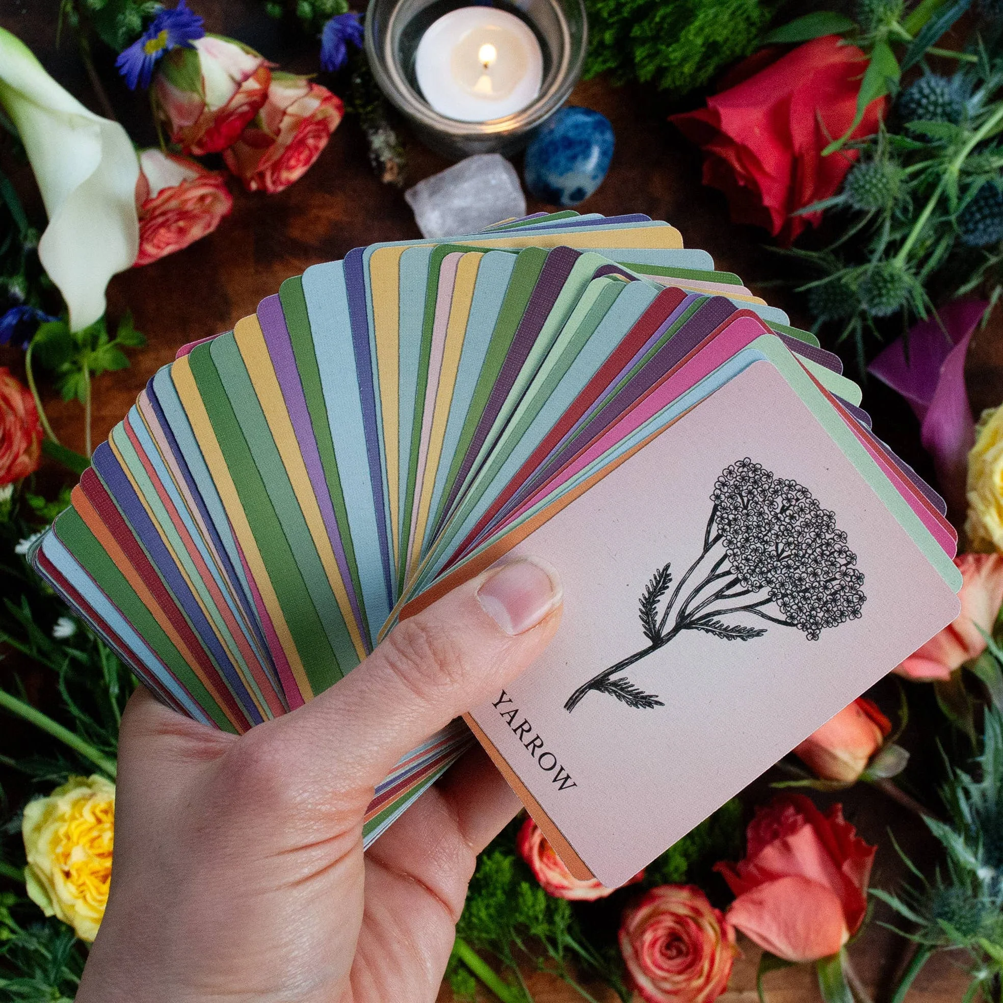 Magic Flowers Poetry Card Deck - Image 4