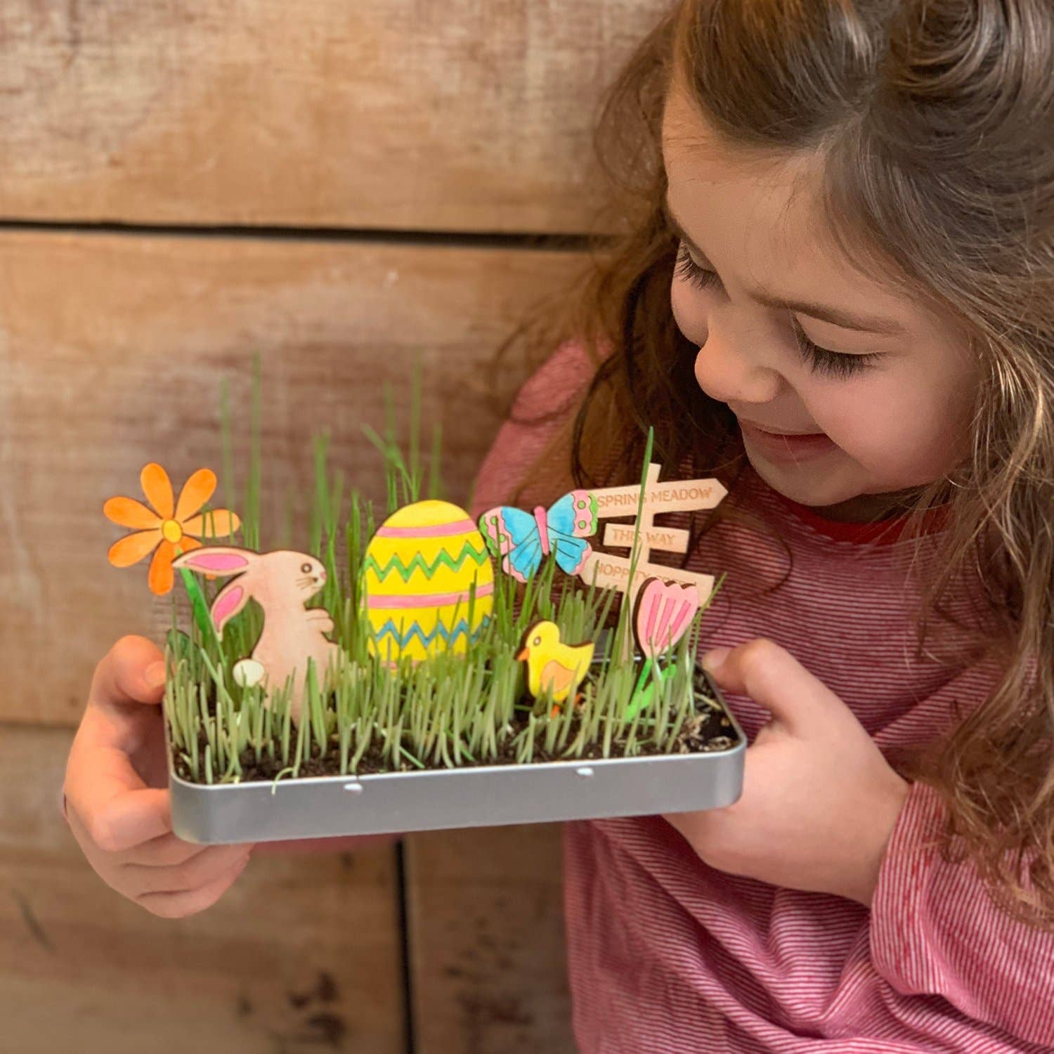 Make Your Own Easter Garden - Image 2