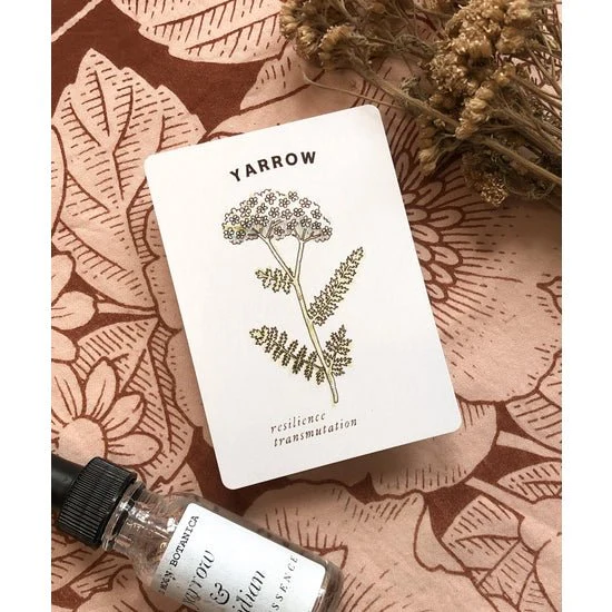 Materia Medica Oracle Deck - Image 2