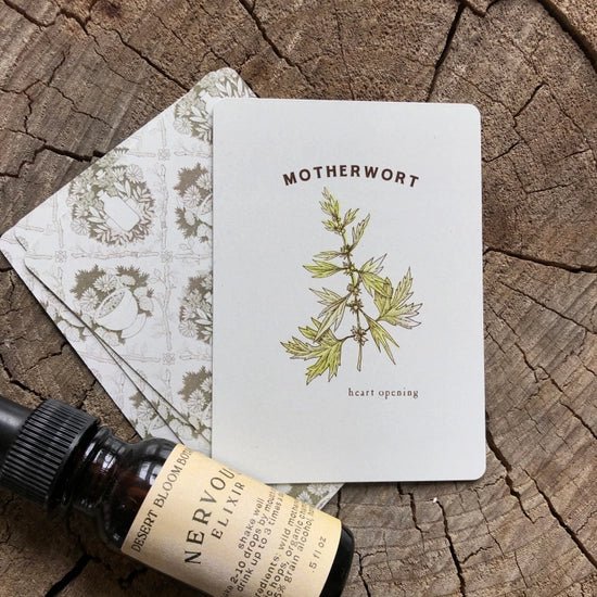 Materia Medica Oracle Deck - Image 3