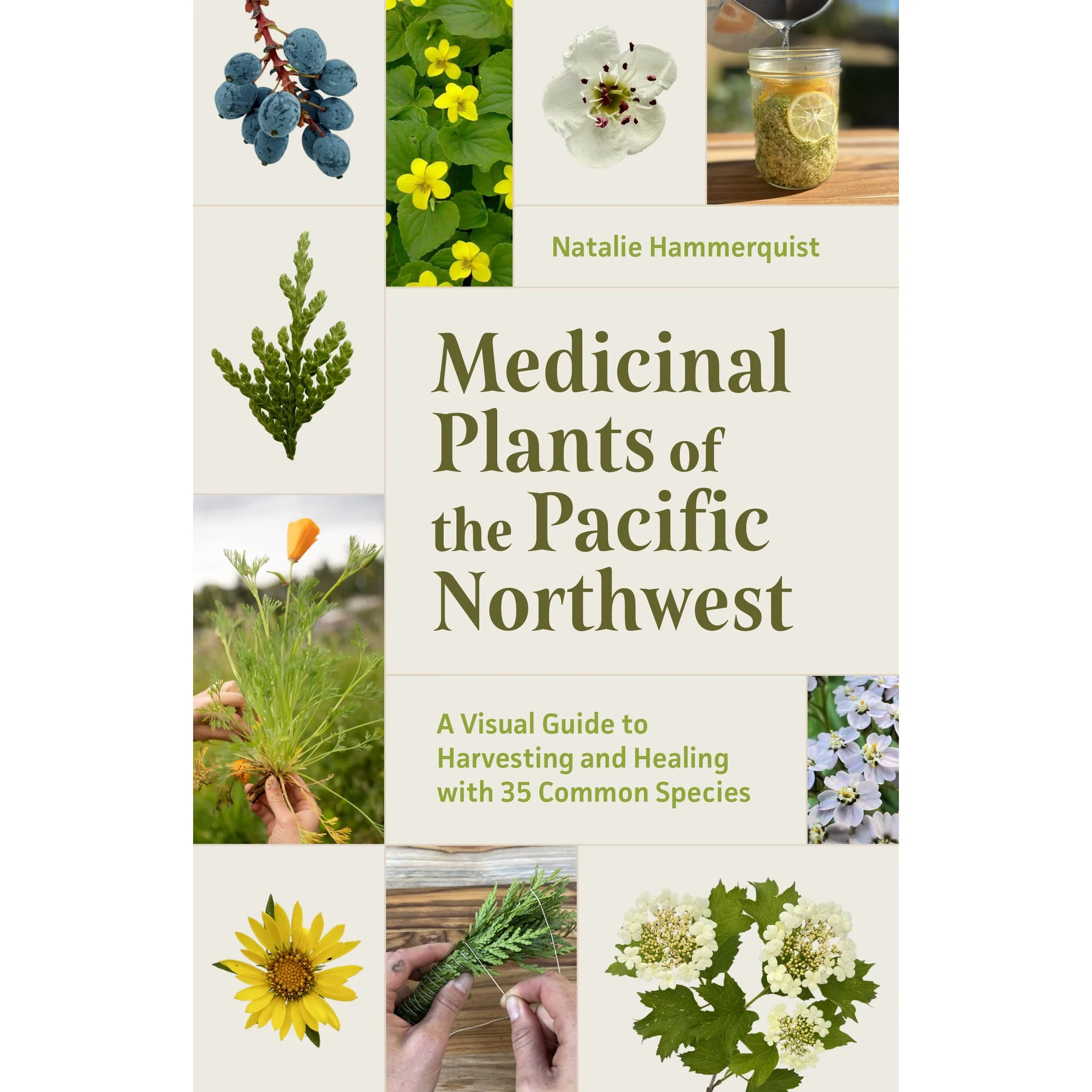 Medicinal Plants of the Pacific Northwest - Image 2