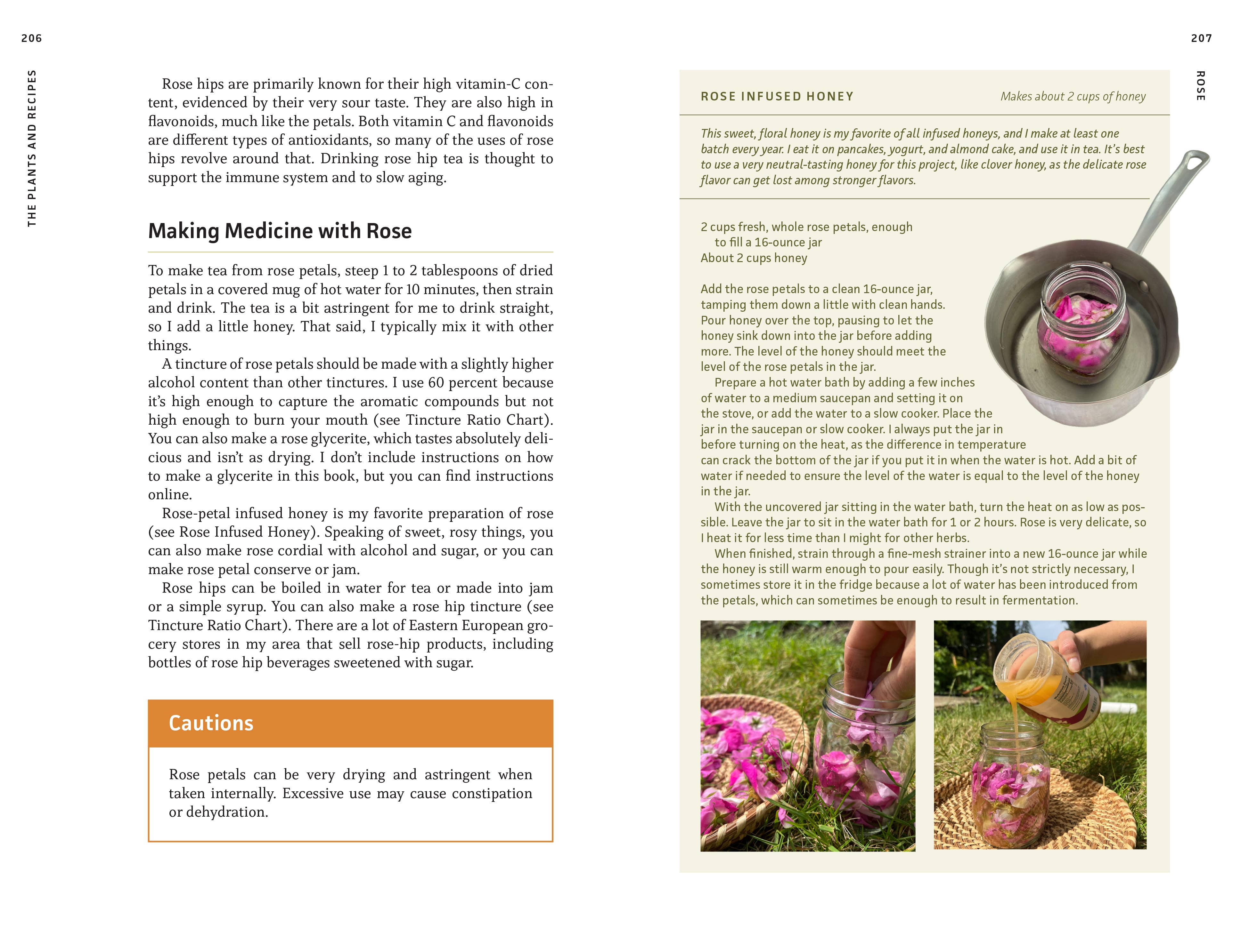 Medicinal Plants of the Pacific Northwest - Image 4
