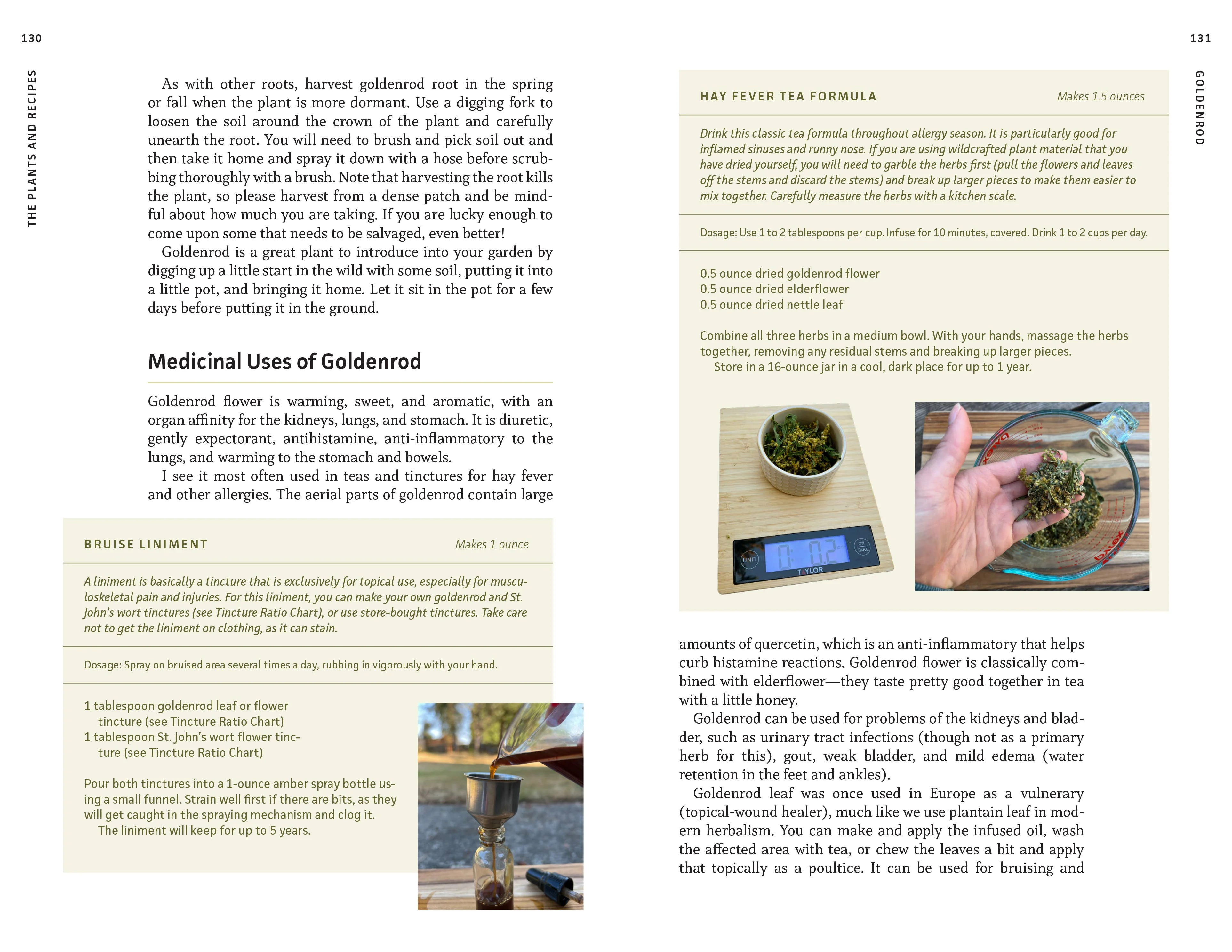 Medicinal Plants of the Pacific Northwest - Image 5
