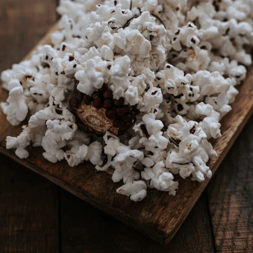 Microwavable Popcorn on the Cob - Image 4