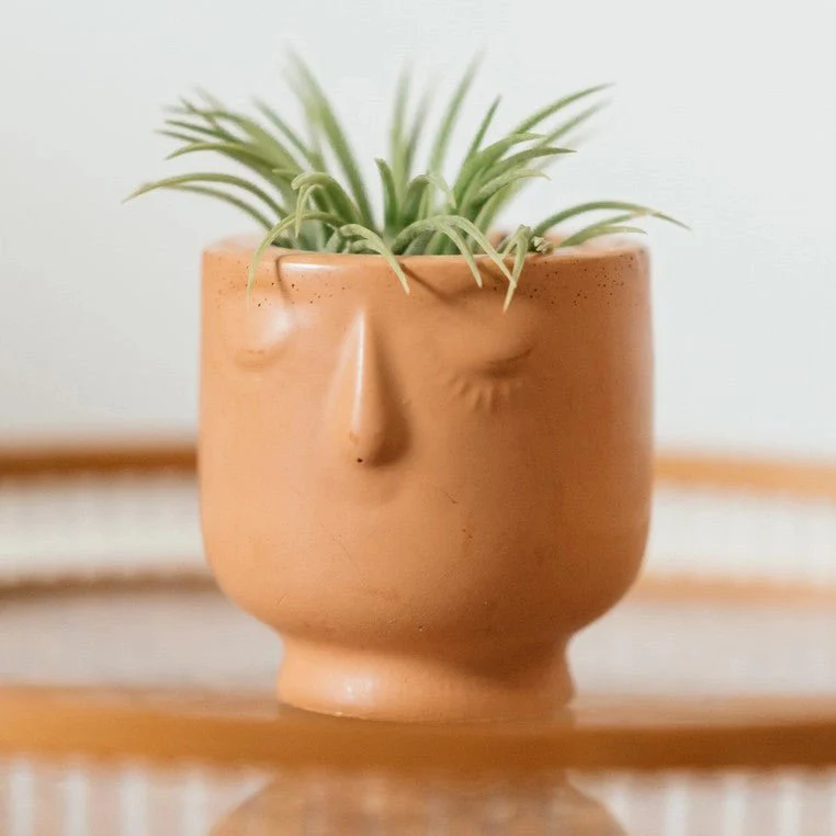 Mini Face Pot Planter - Image 4