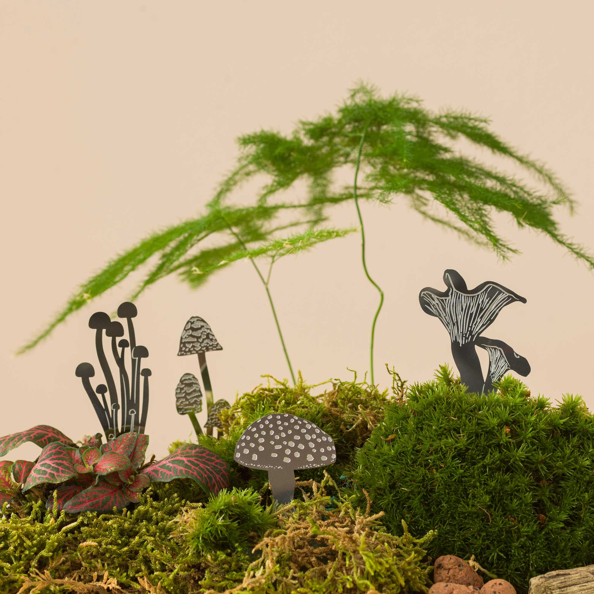 Mini Mushroom Terrarium Decor: Steel - Image 2