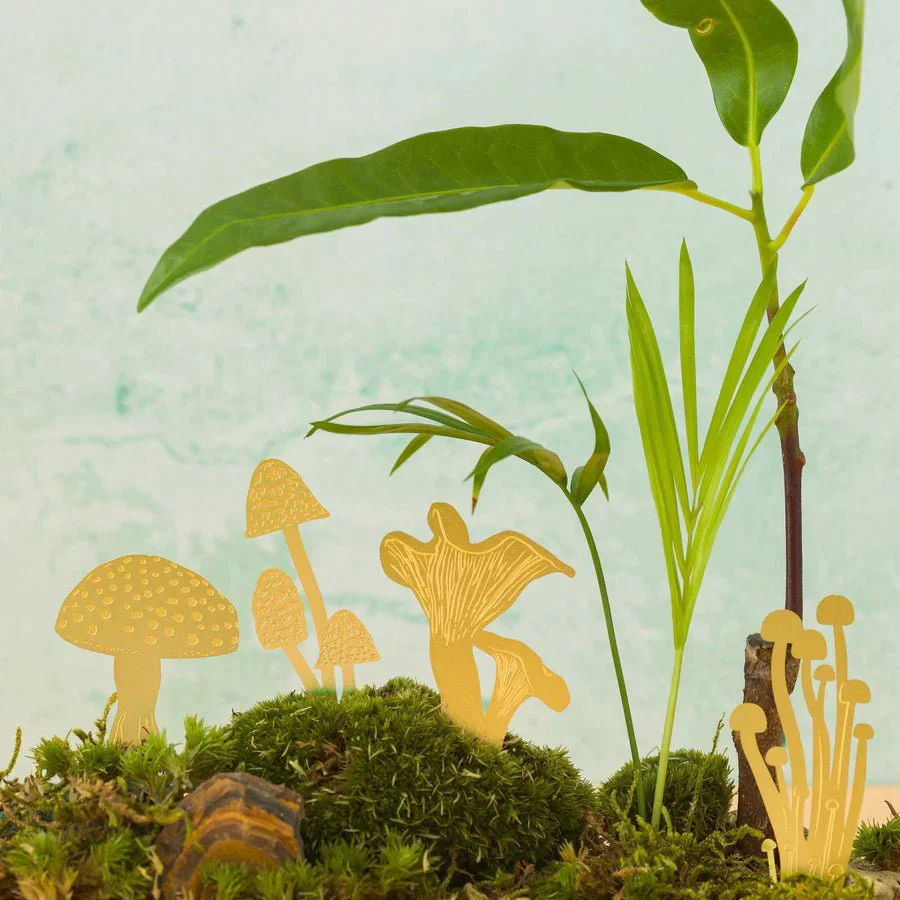 Mini Mushrooms Terrarium Decor: Brass - Image 2