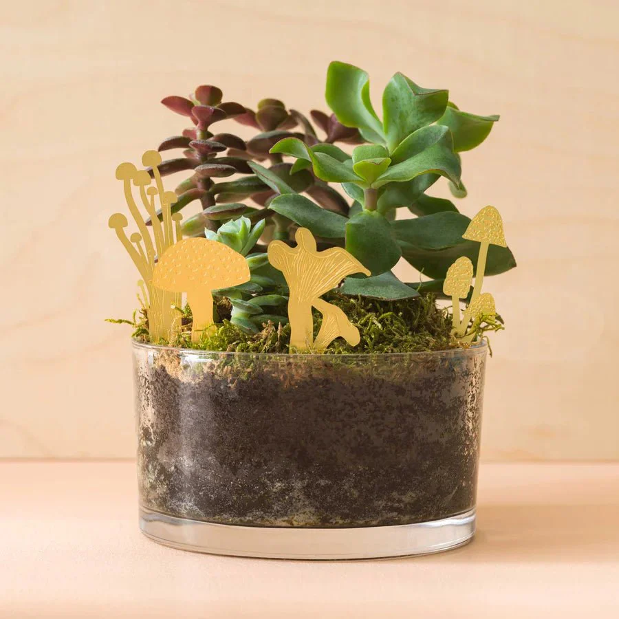 Mini Mushrooms Terrarium Decor: Brass - Image 3