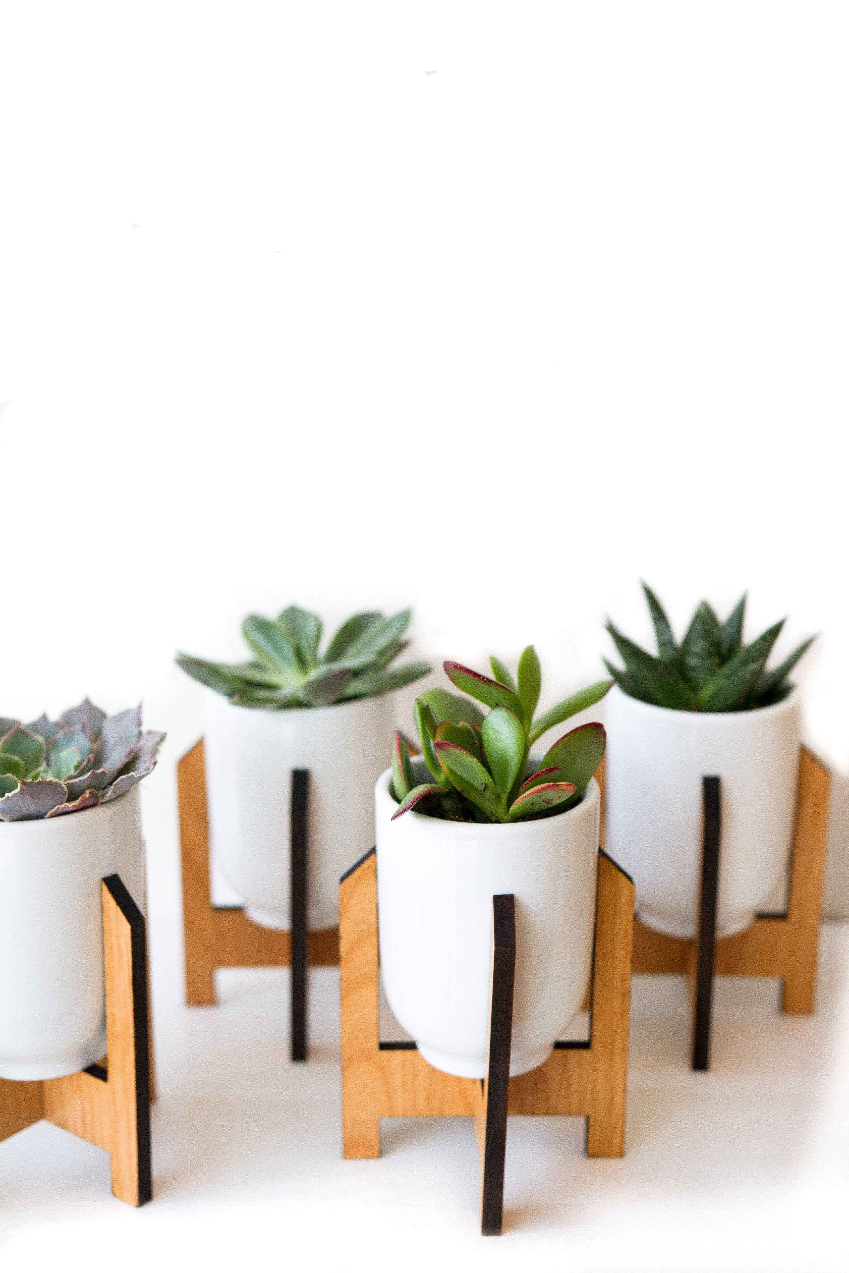 Minimalist Medium Planter - Image 2