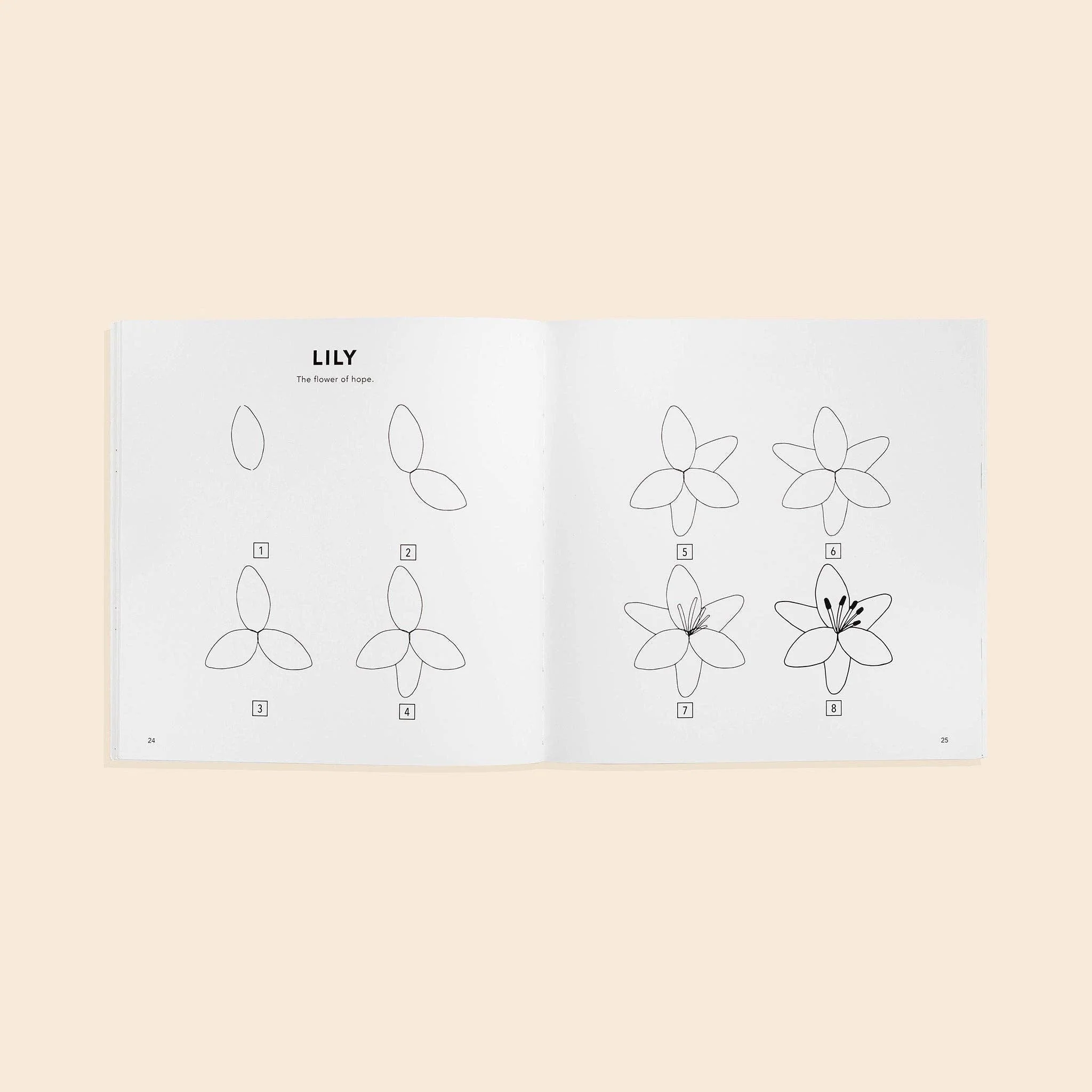 How to Draw Modern Flowers for Kids - Image 2