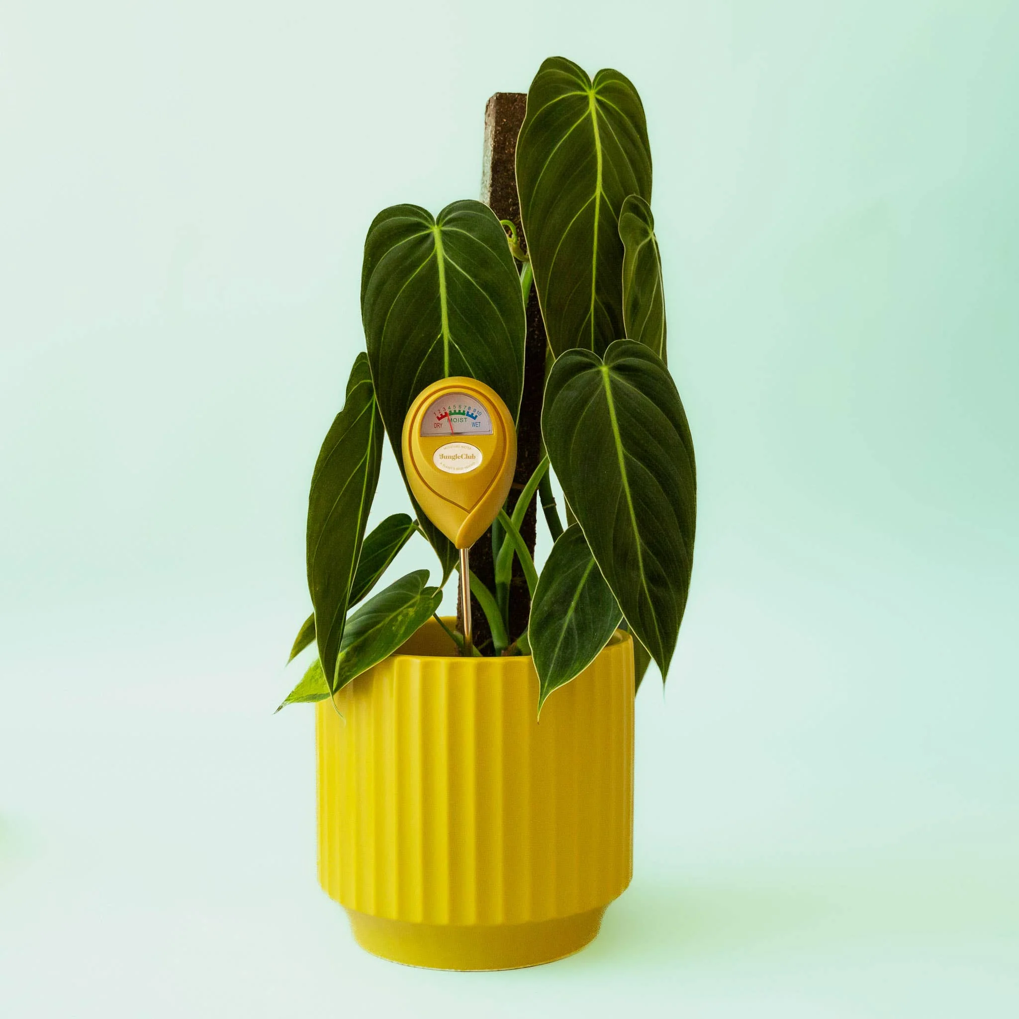 Moisture Meter - Image 6