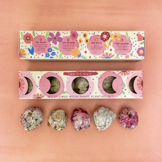 Moon Phase Wild Flower Seed Planting Set - Image 2