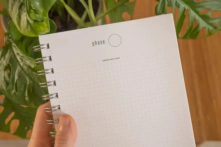 Moon Study Reflection Journal - Image 5