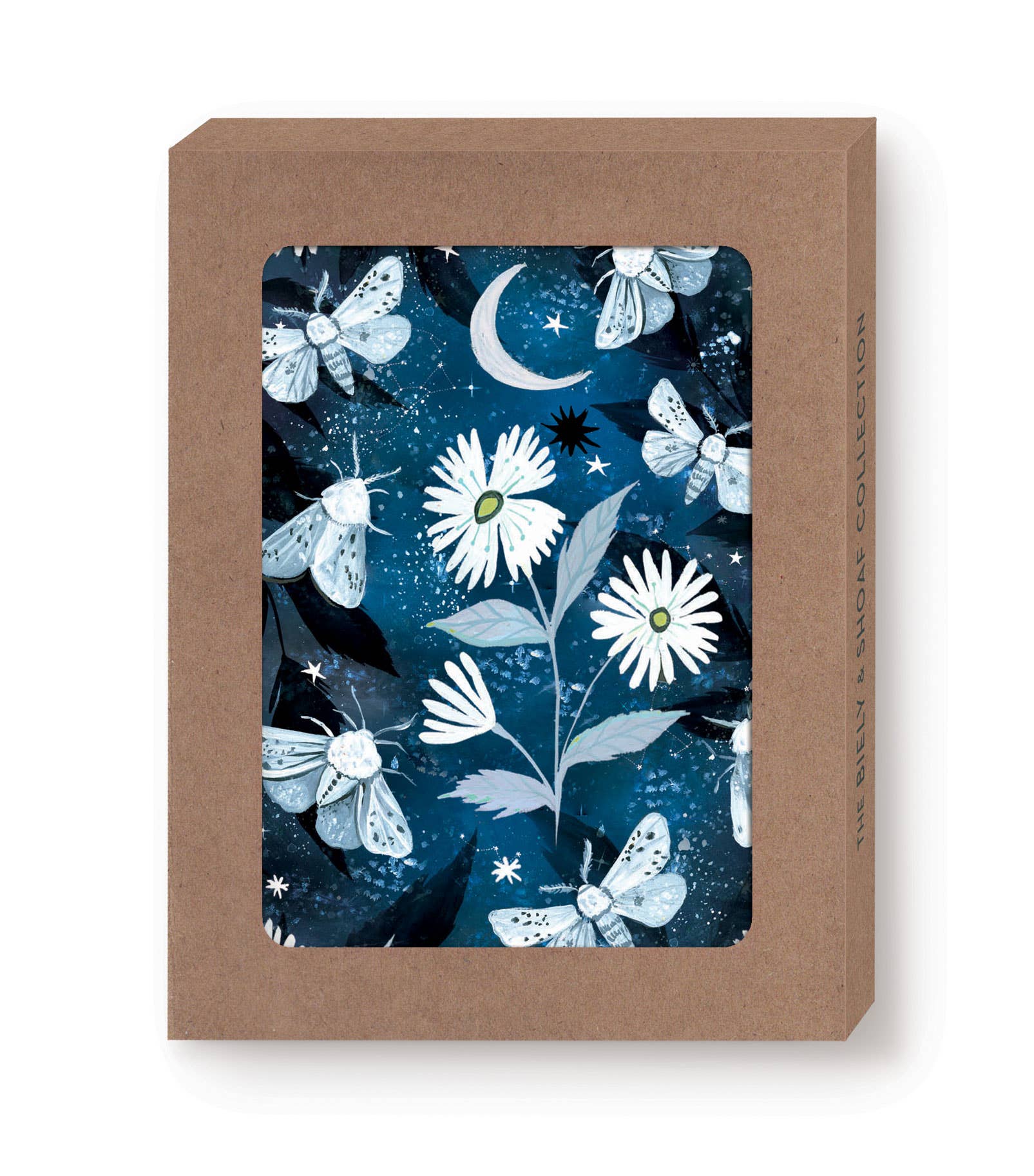 Moths Notecards Box Set - Image 2
