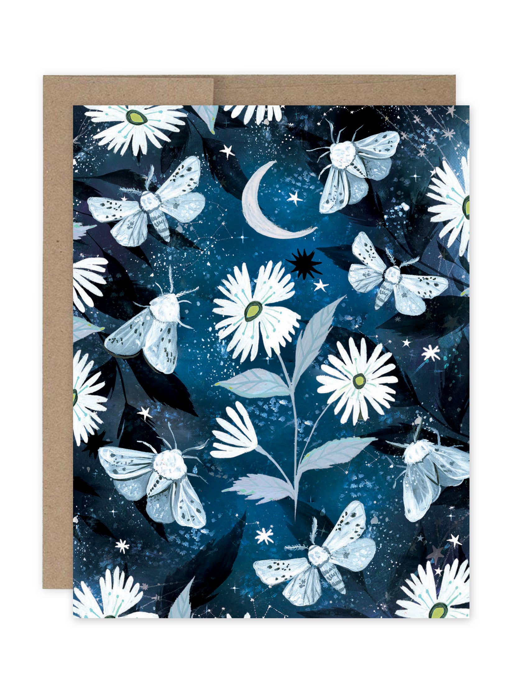 Moths Notecards Box Set - Image 3