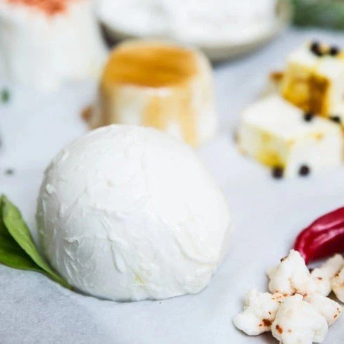 DIY Cheese Kit: Mozzarella, Ricotta, & Farmers' Cheese - Image 4