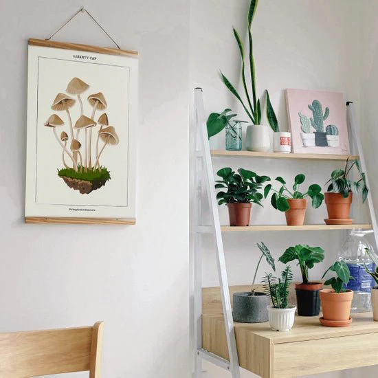 Modern Paint by Numbers Kit: Mushroom Botanical - Image 2