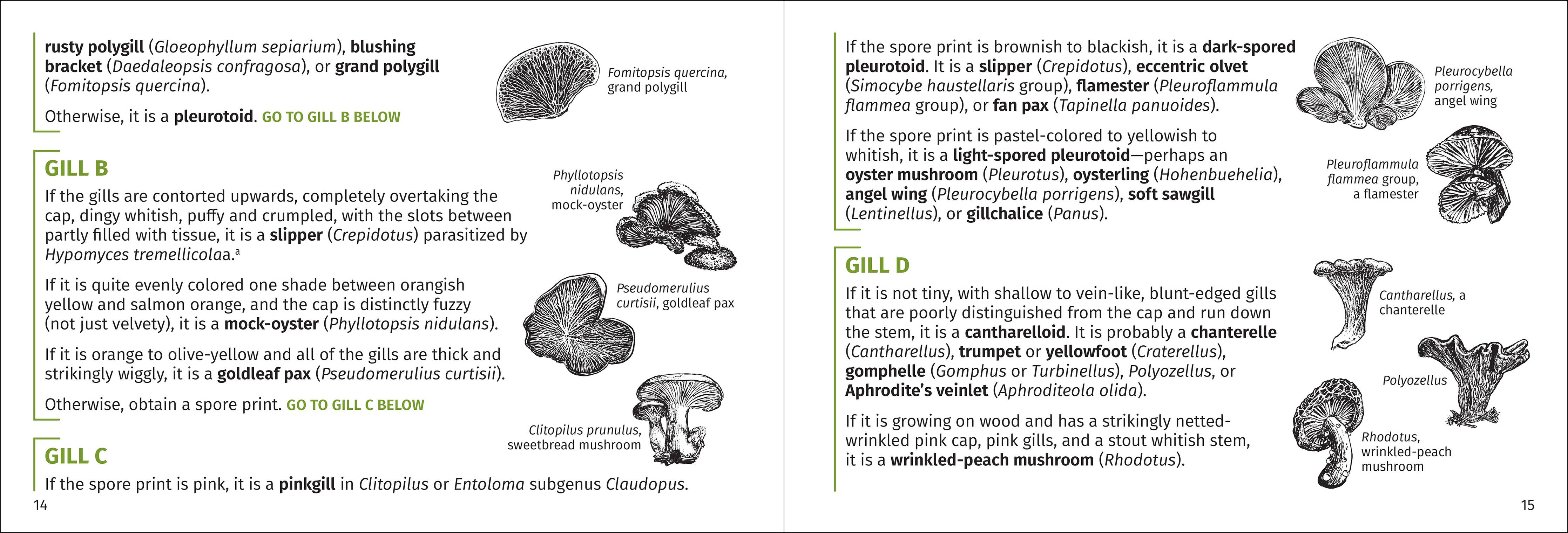 Mushroom Finder Pocket Guide - Image 5
