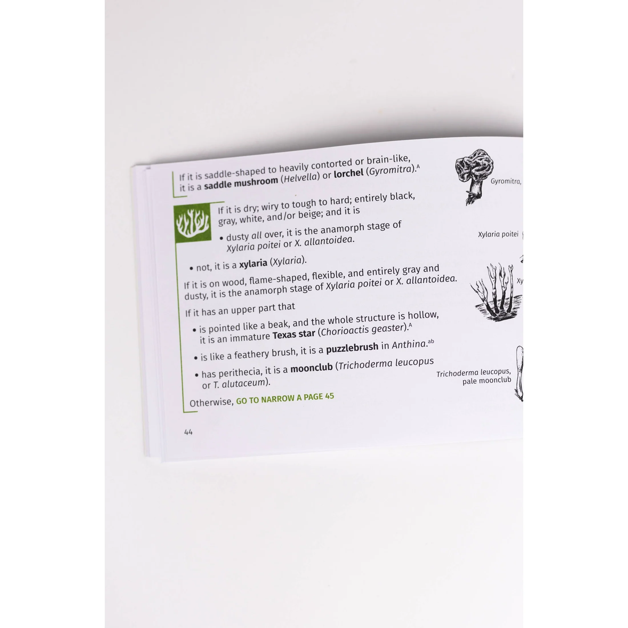 Mushroom Finder Pocket Guide - Image 6