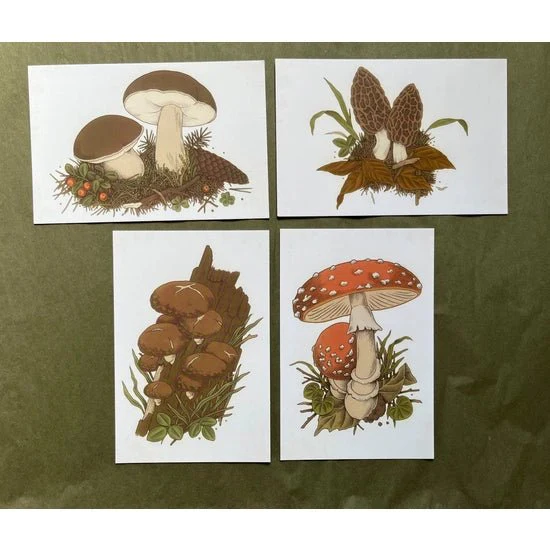 Mushroom Postcard Set - Image 2