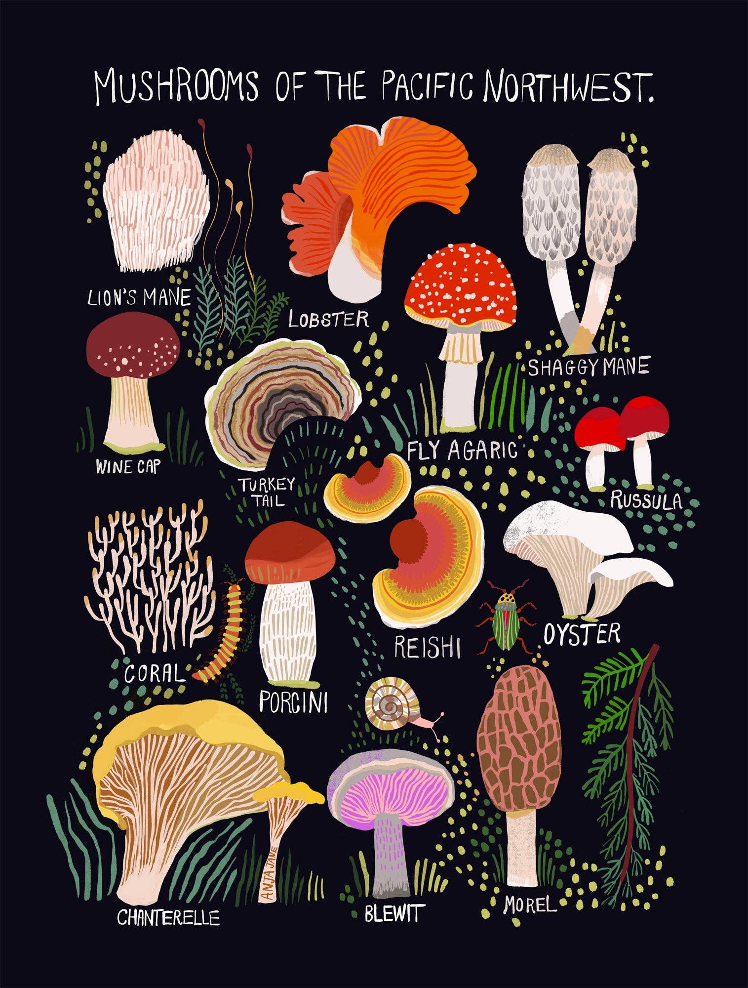 Mushrooms of the Pacific Northwest Art Print - Image 2