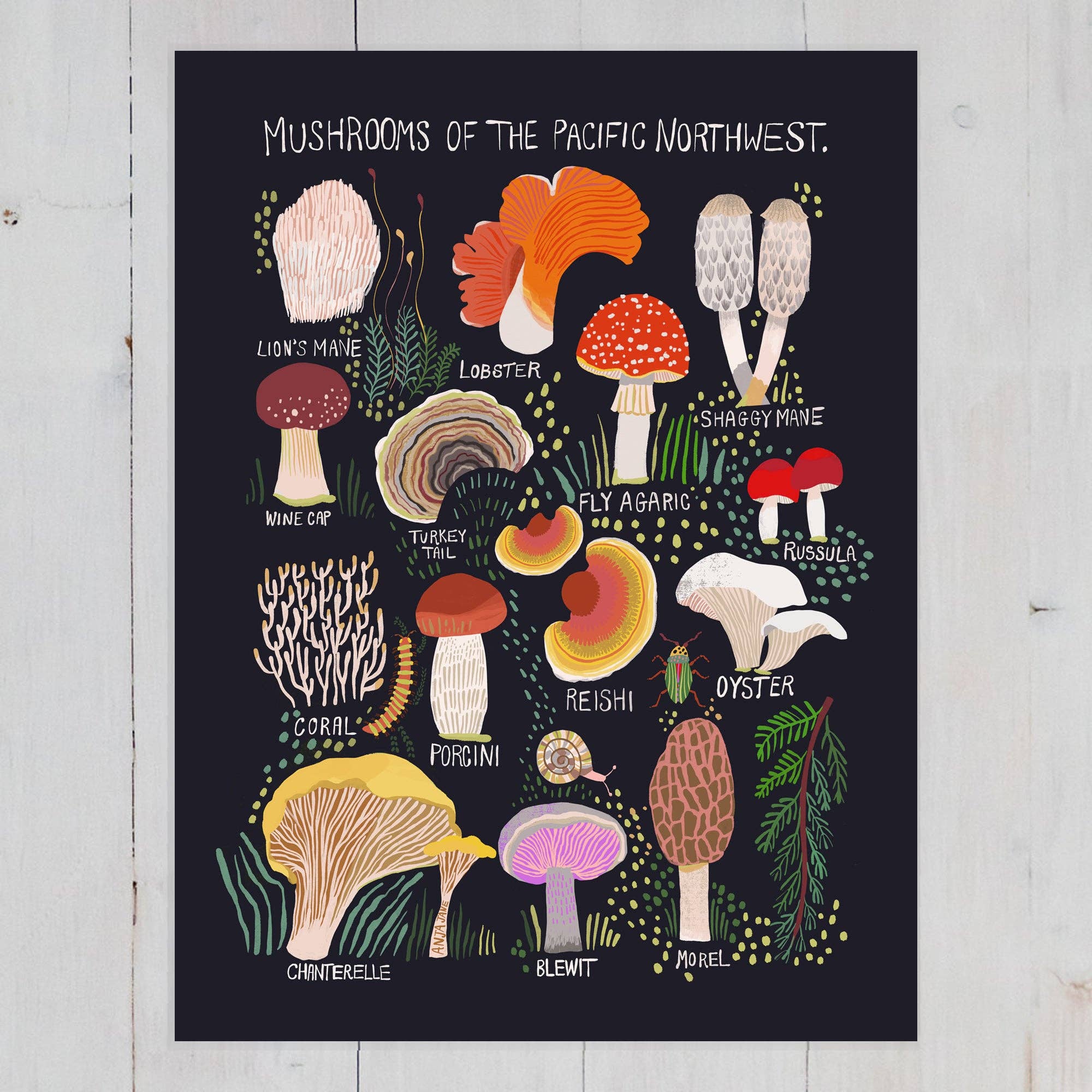 Mushrooms of the Pacific Northwest Art Print - Image 3